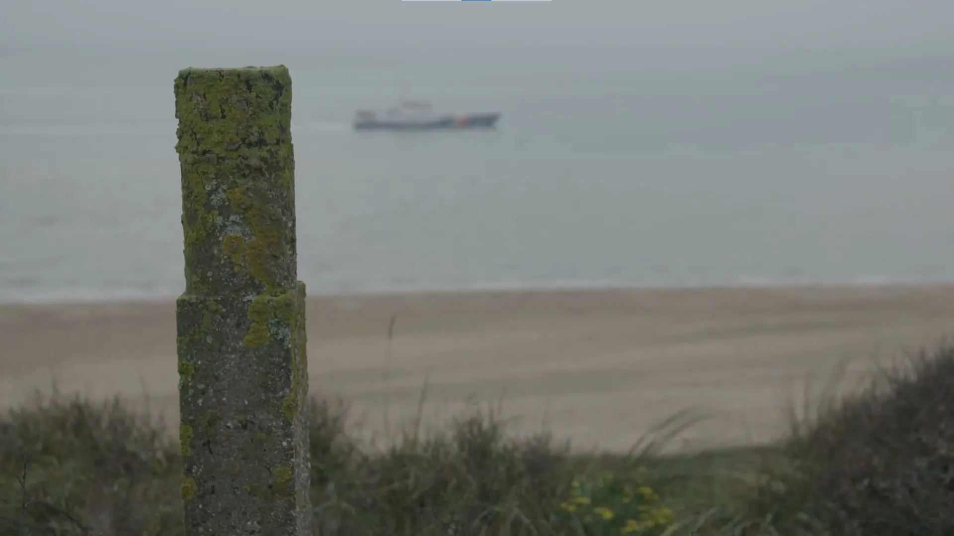 Photo showing: One of the few remaining MUD poles, on the Westerschelde near Dishoek, province of Zeeland.