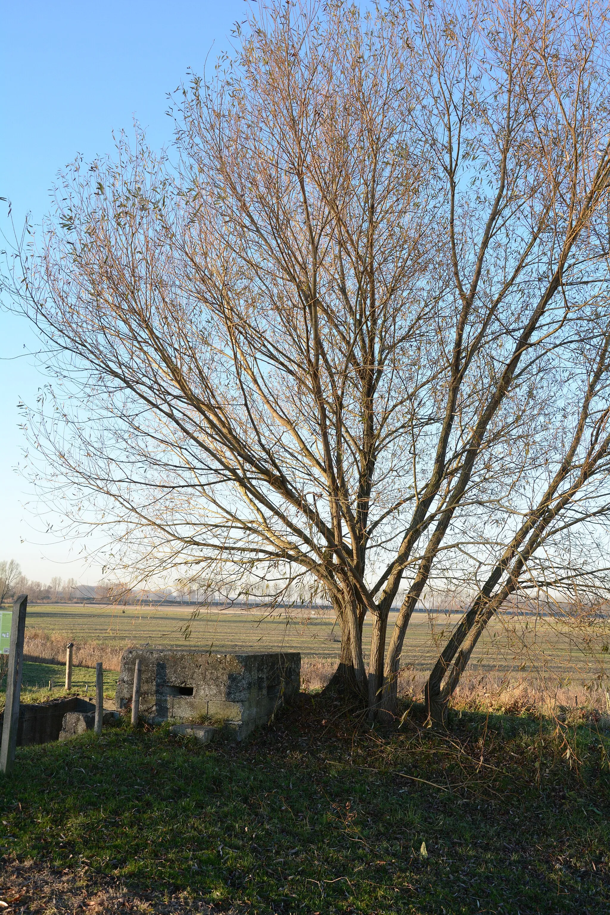 Photo showing: Bunker Olmendijk Philippine