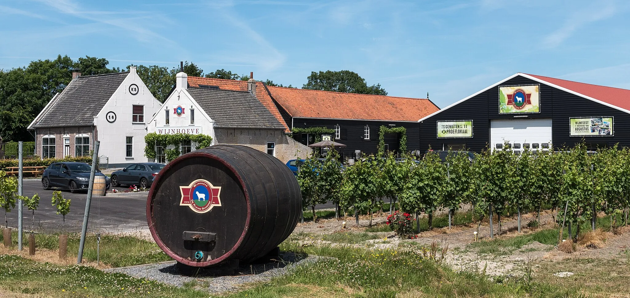 Photo showing: Dutch Vineyard De Kleine Schorre in Dreischor (Province of Zeeland)