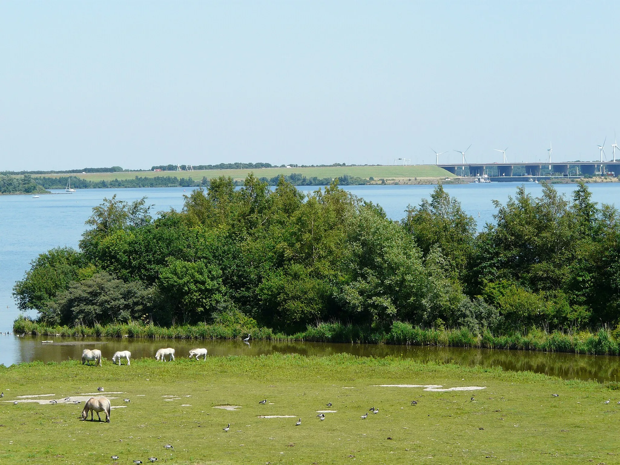 Photo showing: Natuurgebied Hellegatsplaten