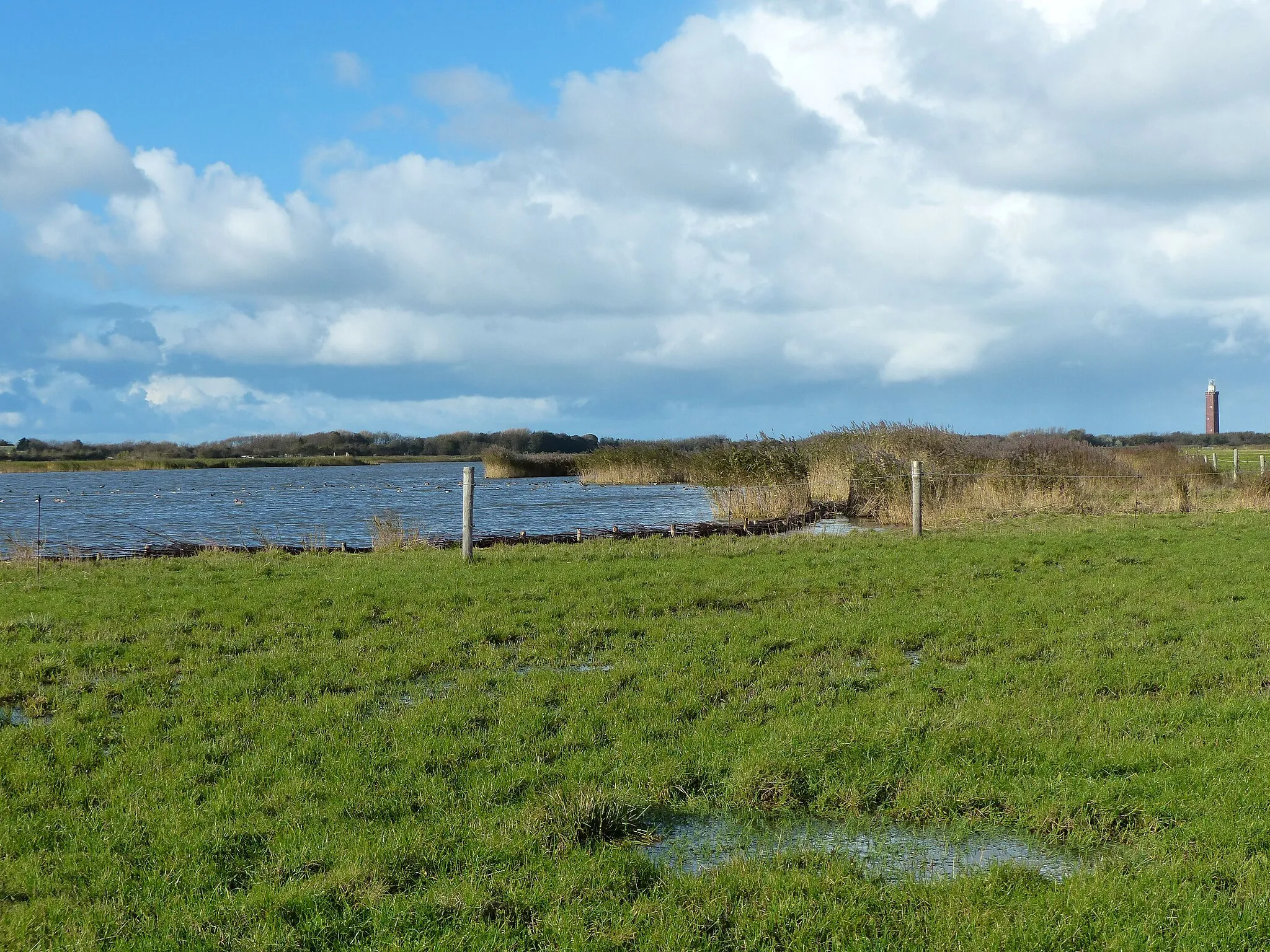 Photo showing: Kreek met riet en natte graslanden