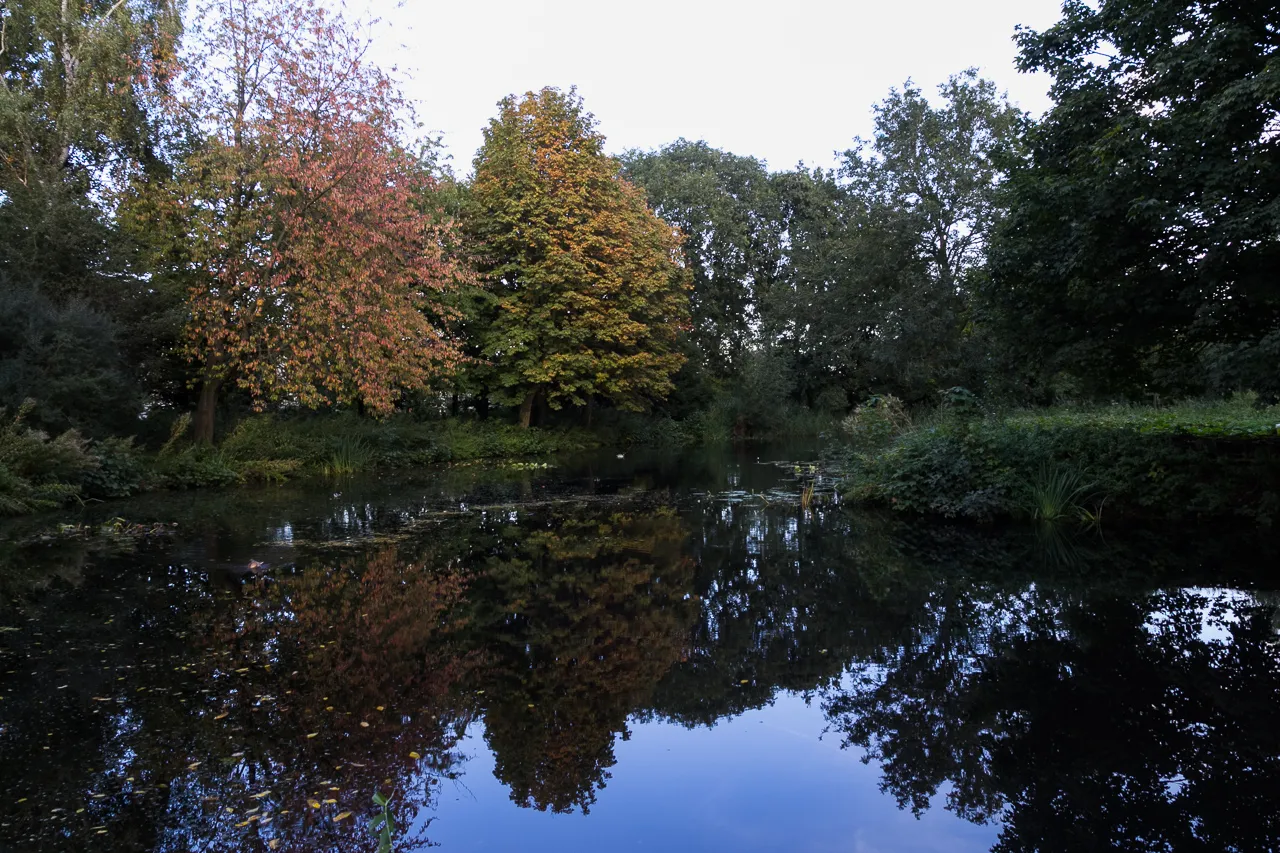 Photo showing: Herfst in het Slotpark