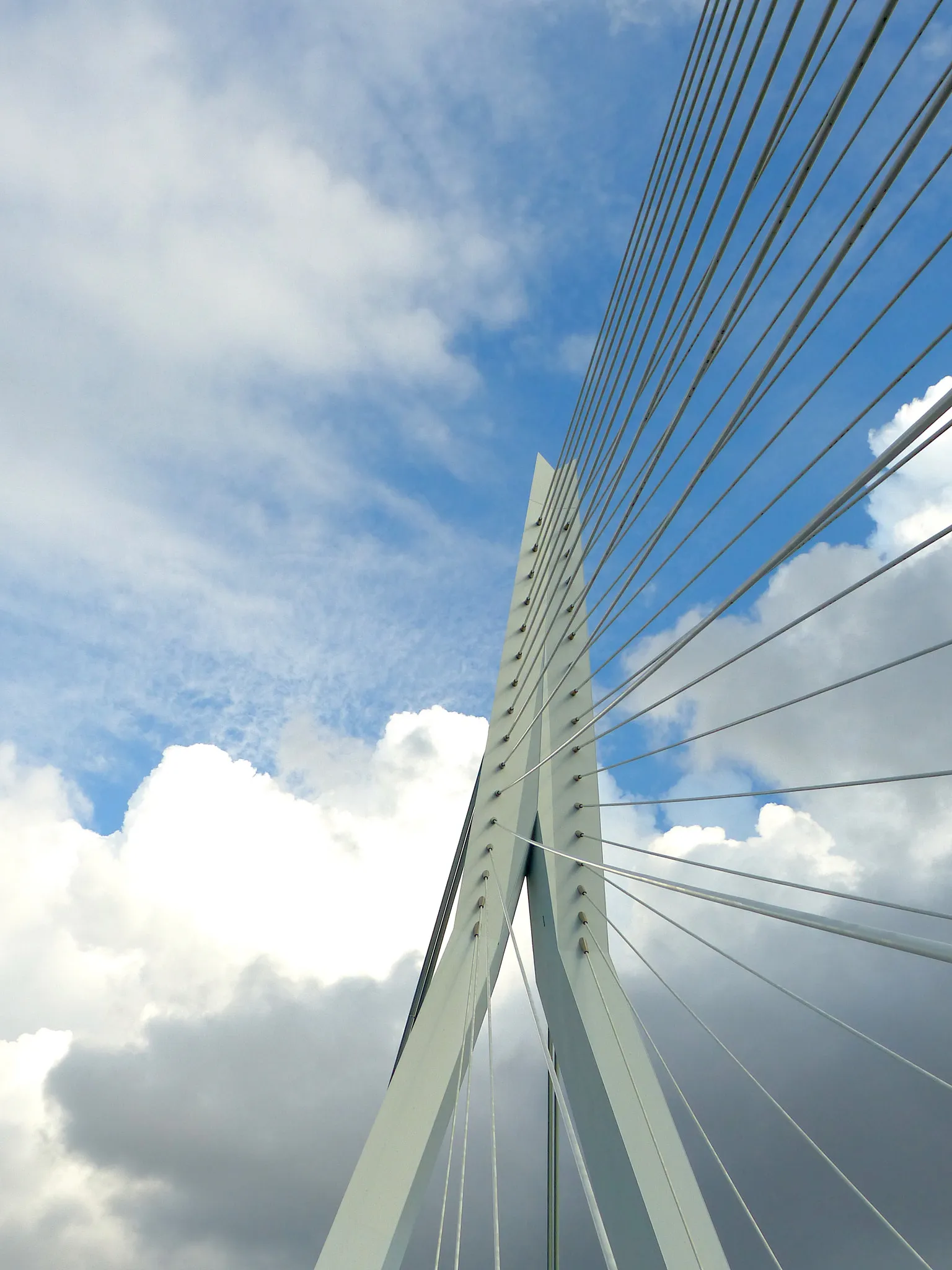 Photo showing: 500px provided description: Erasm Bridge in Rotterdam contrasted [#sky ,#city ,#downtown ,#travel ,#urban ,#architecture ,#cityscape ,#bridge ,#building ,#skyscraper ,#modern ,#high ,#steel ,#construction ,#perspective ,#expression ,#futuristic ,#business ,#contemporary ,#no person]