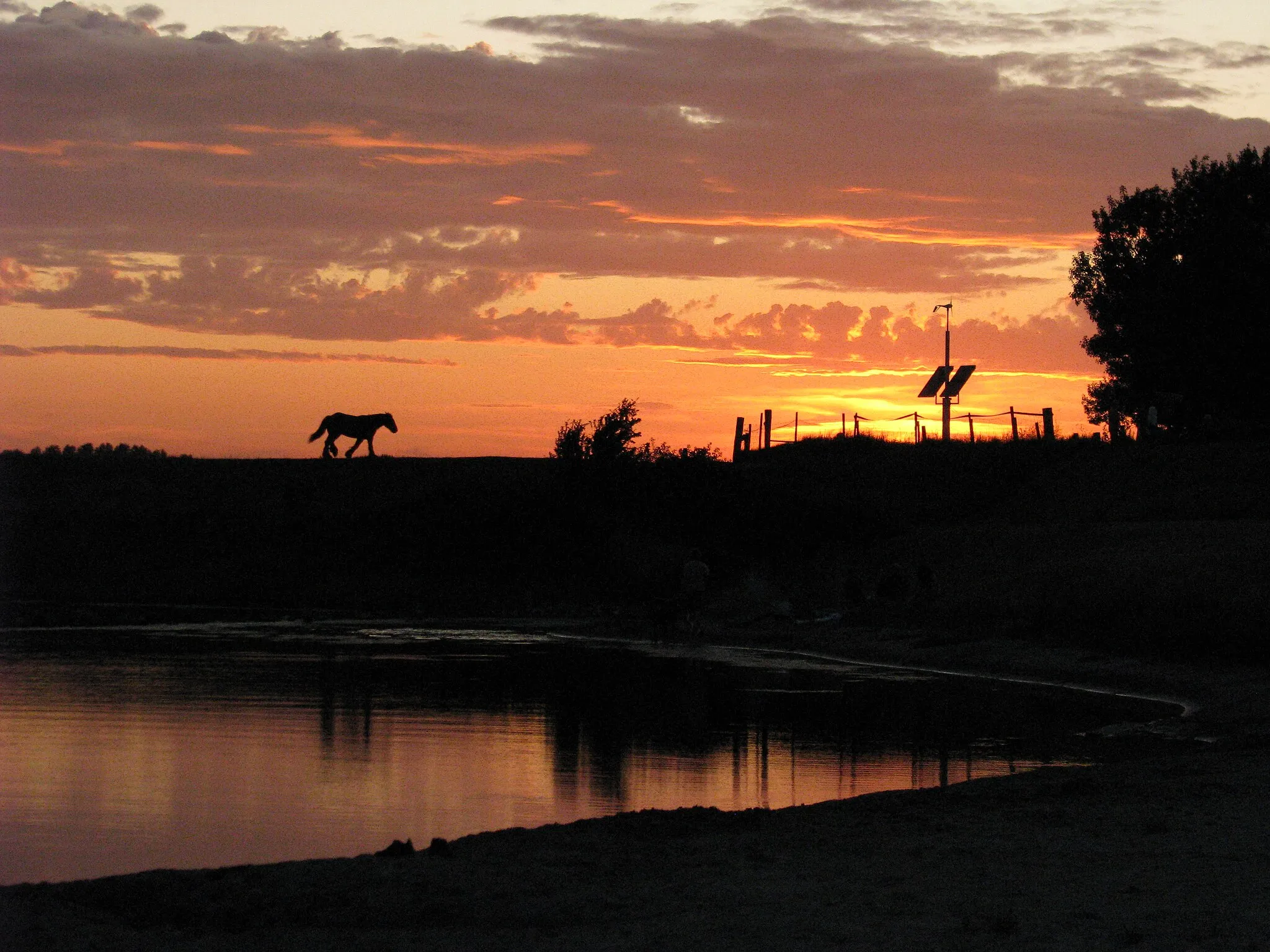 Photo showing: Sunset with horse
