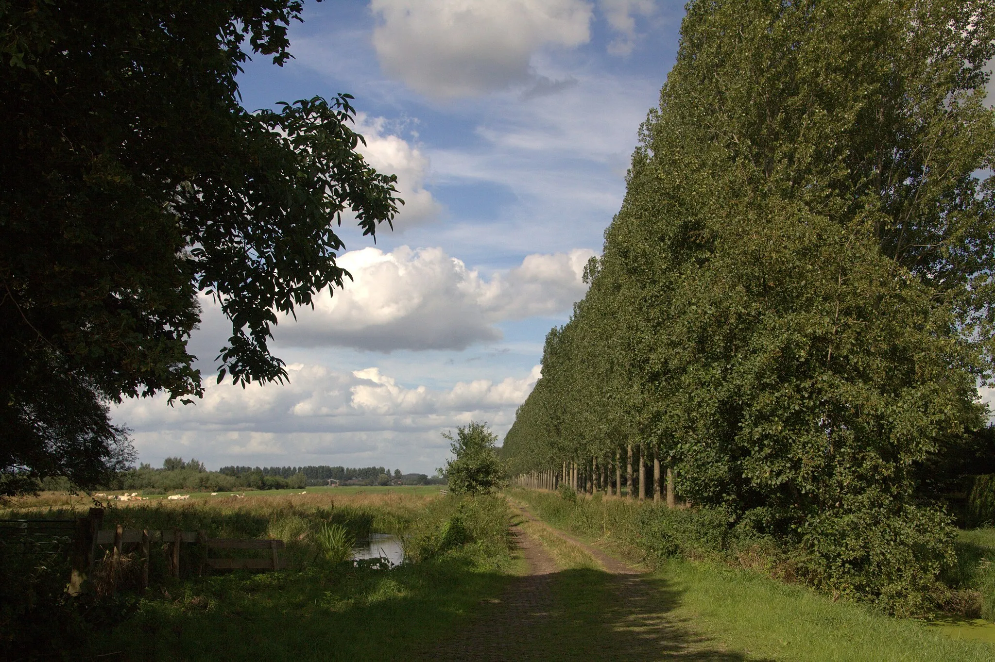 Photo showing: De Zijdekade tussen Overheicop en Overboeicop en Hei-en Boeicop.
Aan Overboeicop ligt de Schaapskooi, verenigingsgebouw van de Natuur en Vogelwacht De Vijf Heerenlanden.