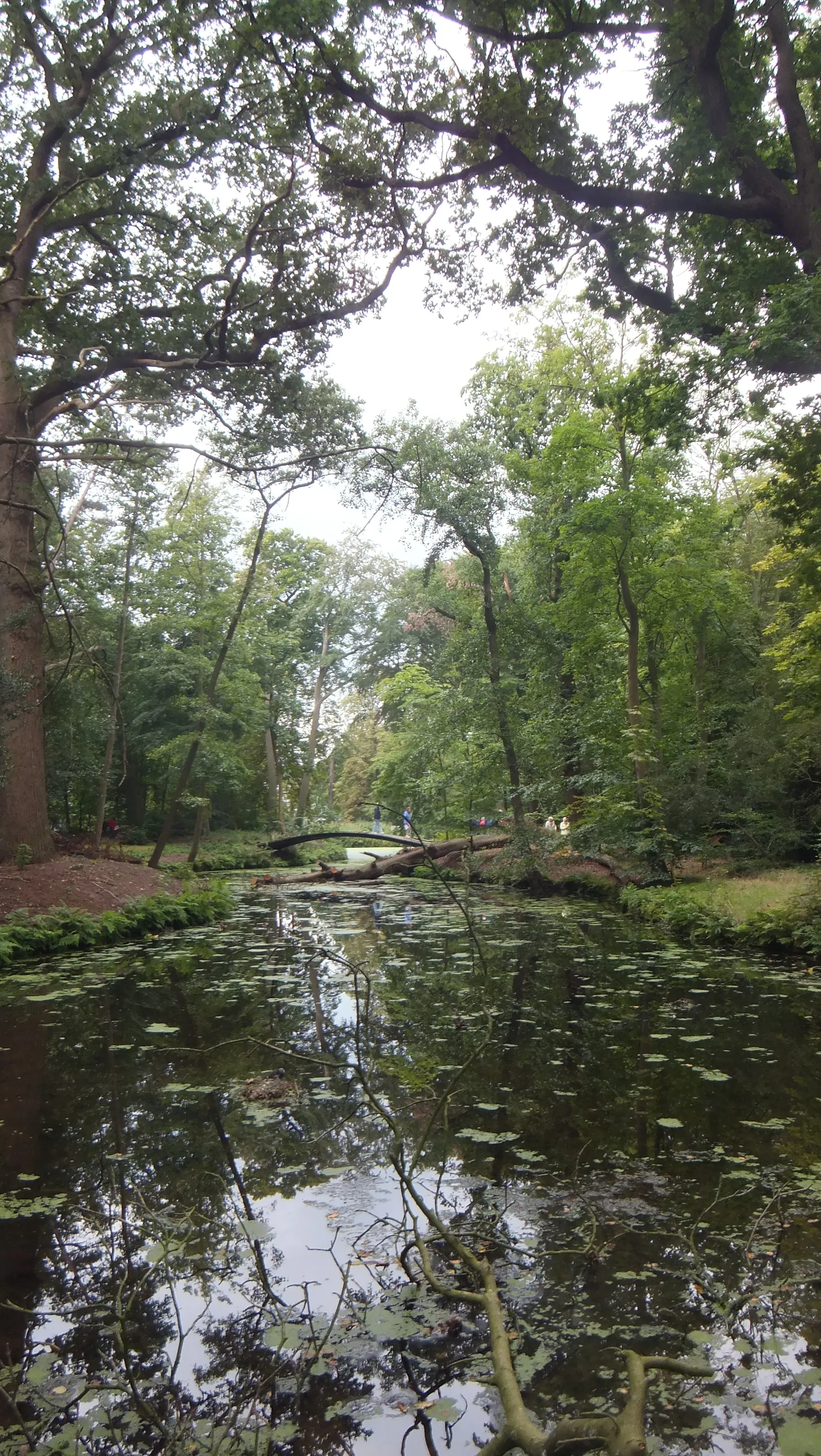 Photo showing: Buitenplaats Berbice, landschapstuin, Voorschoten, Nederland