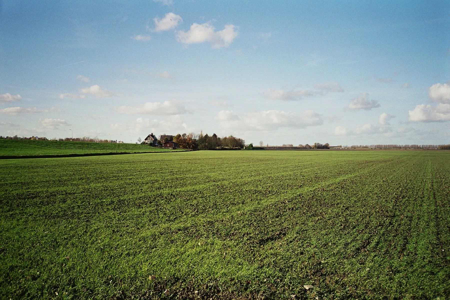 Photo showing: Haarlemmermeerpolder