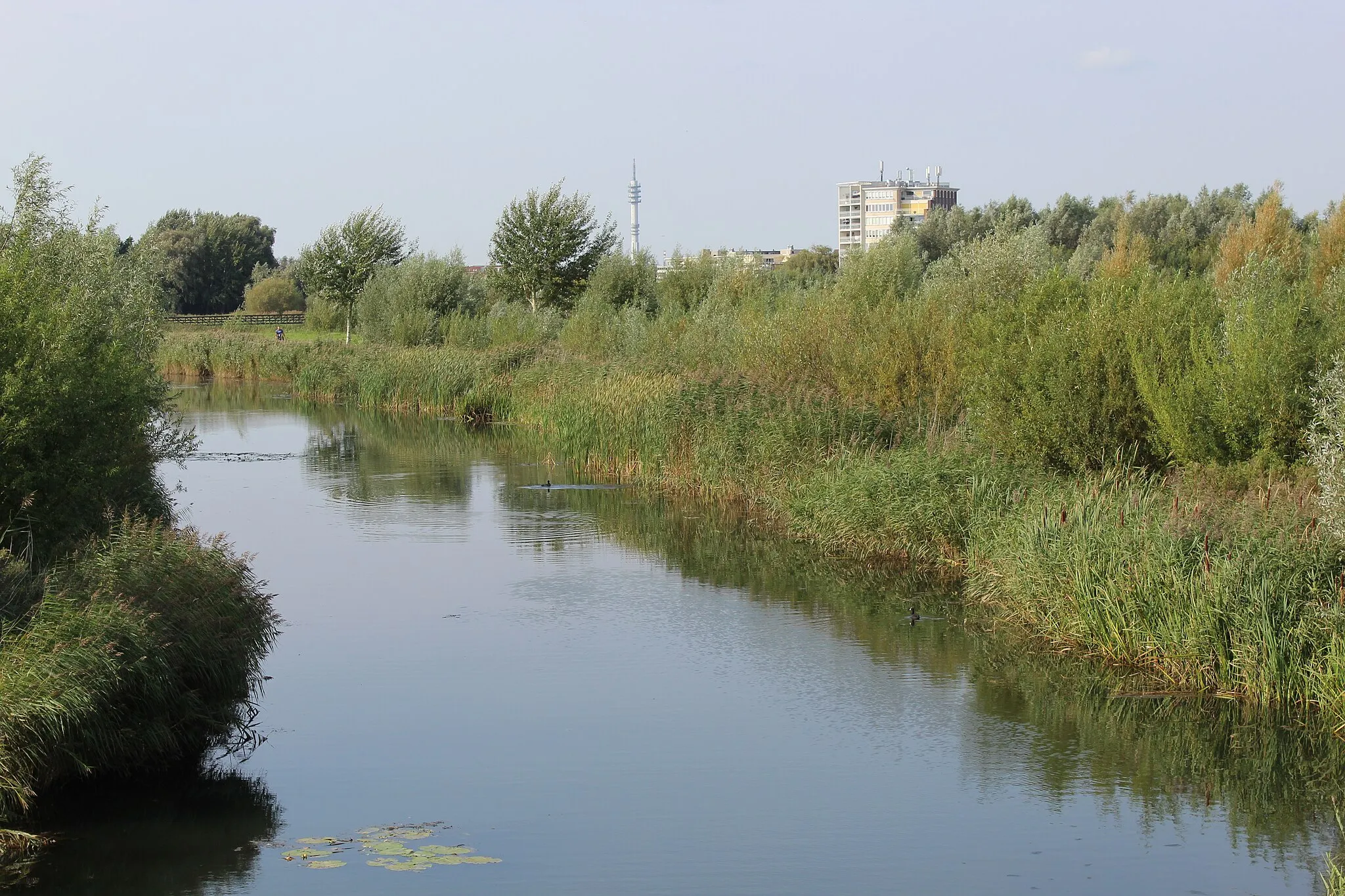 Photo showing: Koedood stream near Barendrecht, the Netherlands