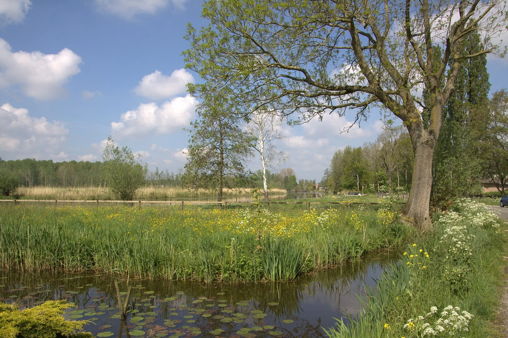 Photo showing: Het buurtschap Kooiwijk aan de rivier De Alblas in de streek Alblasserwaard. op 30 April 2019.