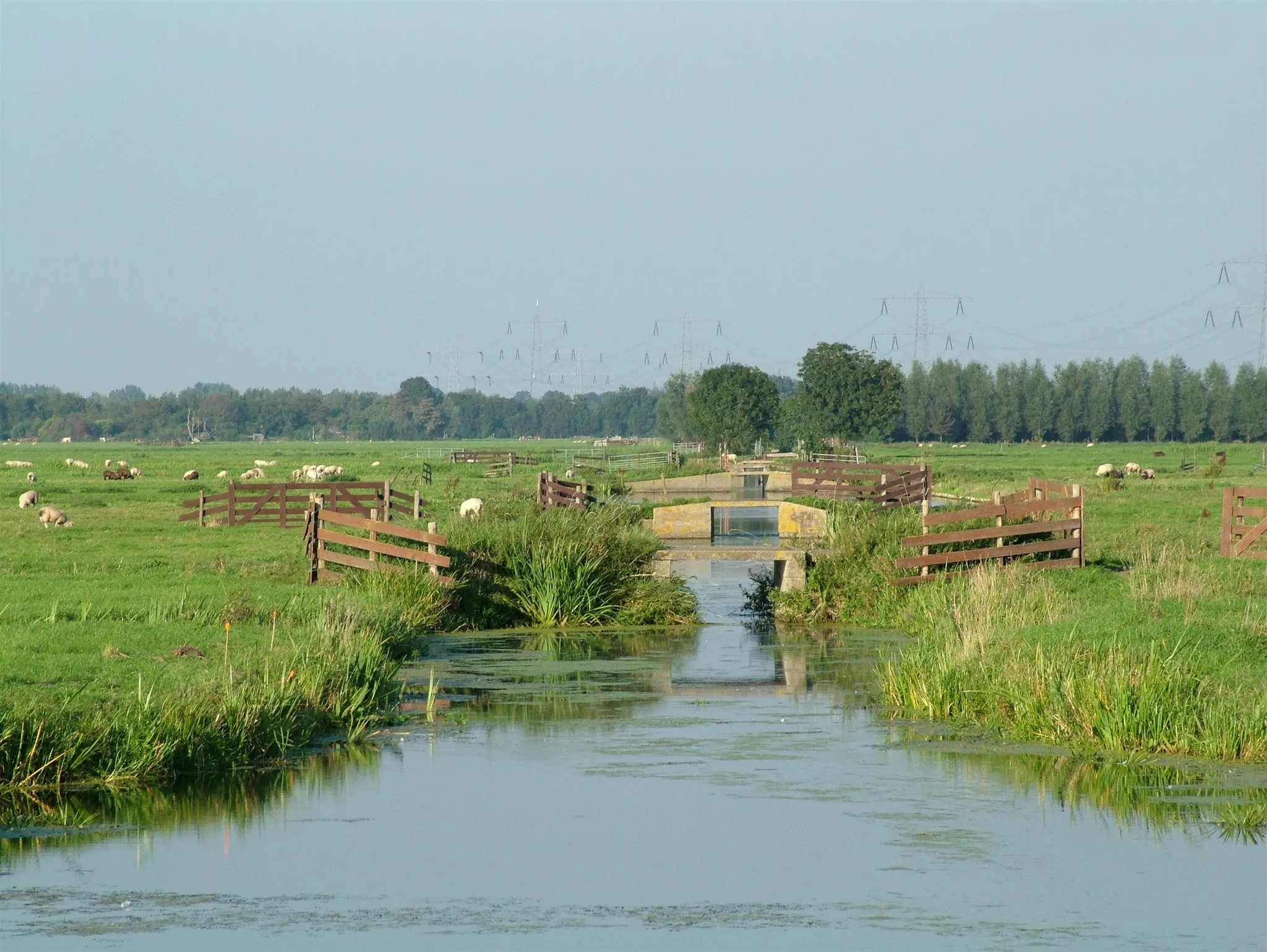 Photo showing: Beeld van de polder aan de noordzijde van 't Beijersche. Rondom de buurtschap ligt een typisch polderlandschap.