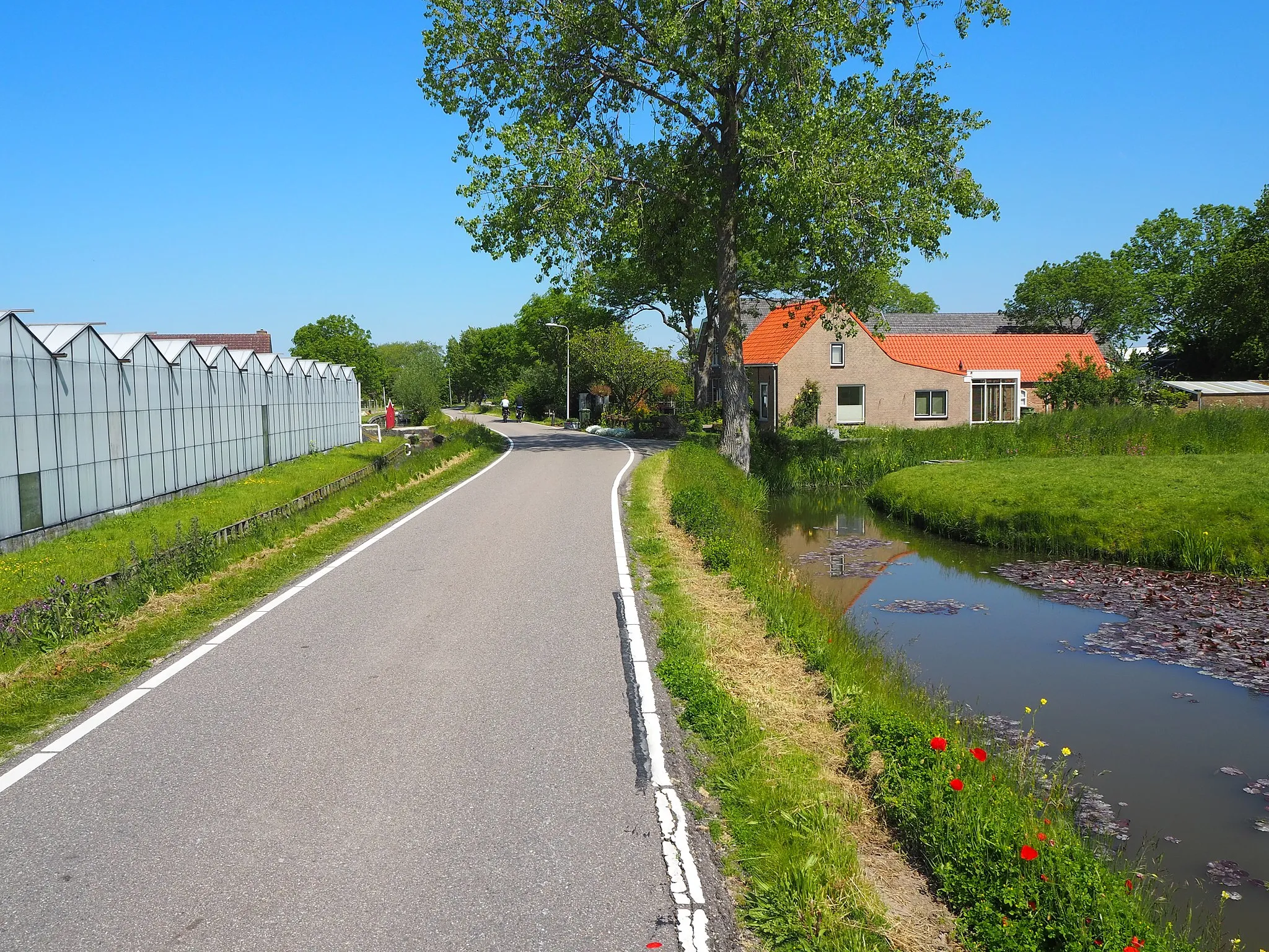 Photo showing: Burgerdijkseweg