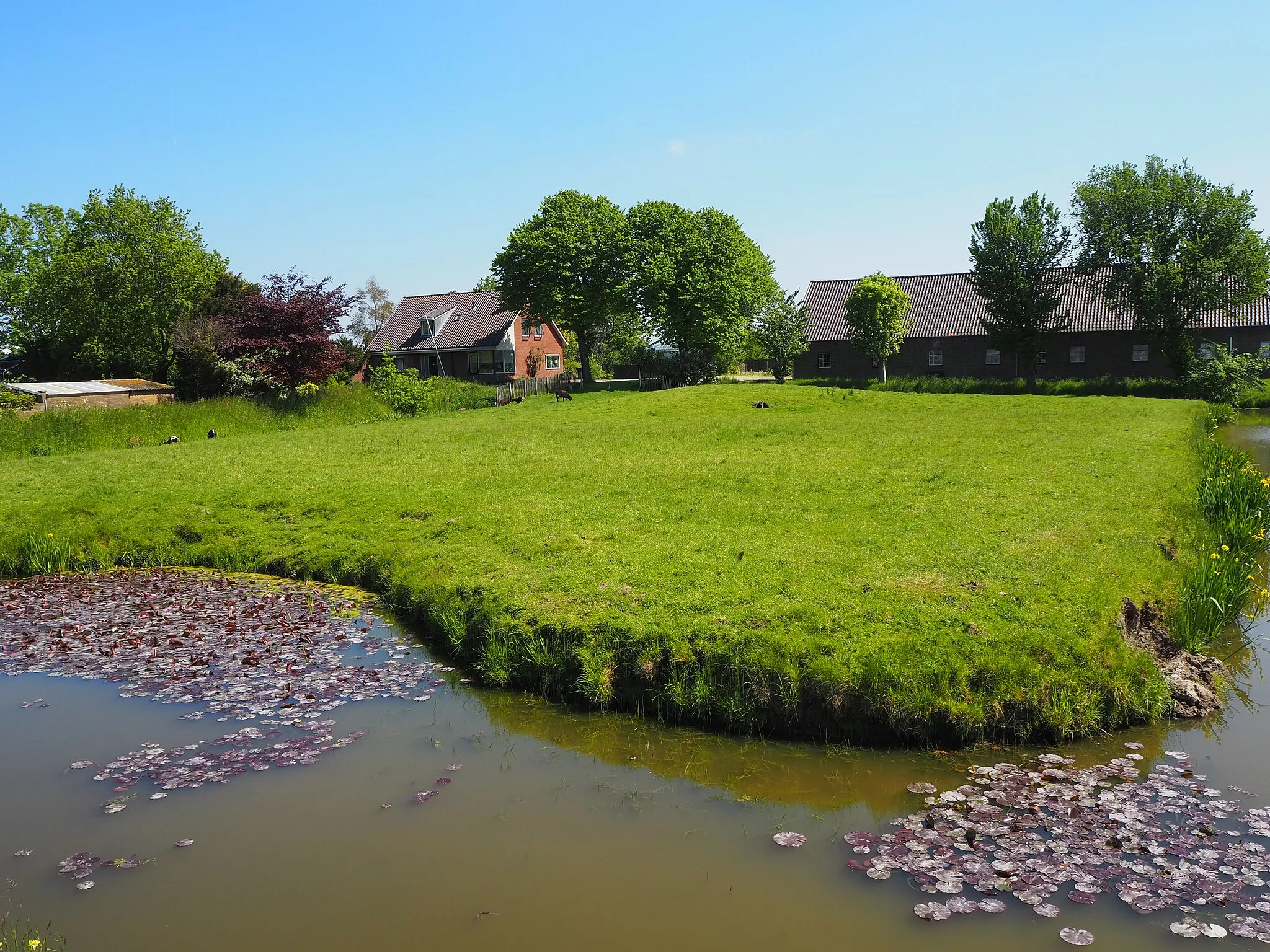 Photo showing: Boerderij langs de Burgerdijkseweg