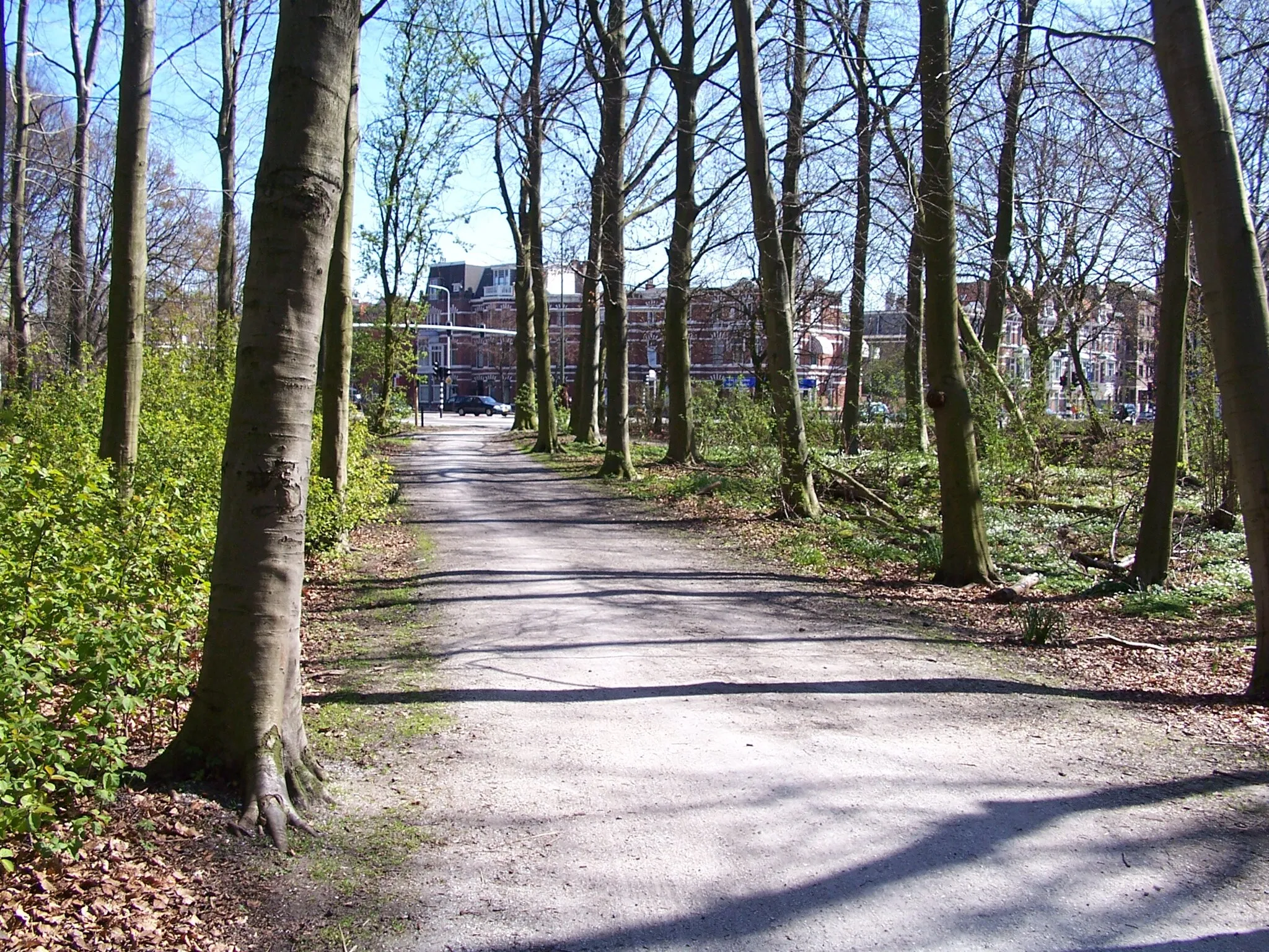 Photo showing: Haagse Bos, The Hague/Den Haag