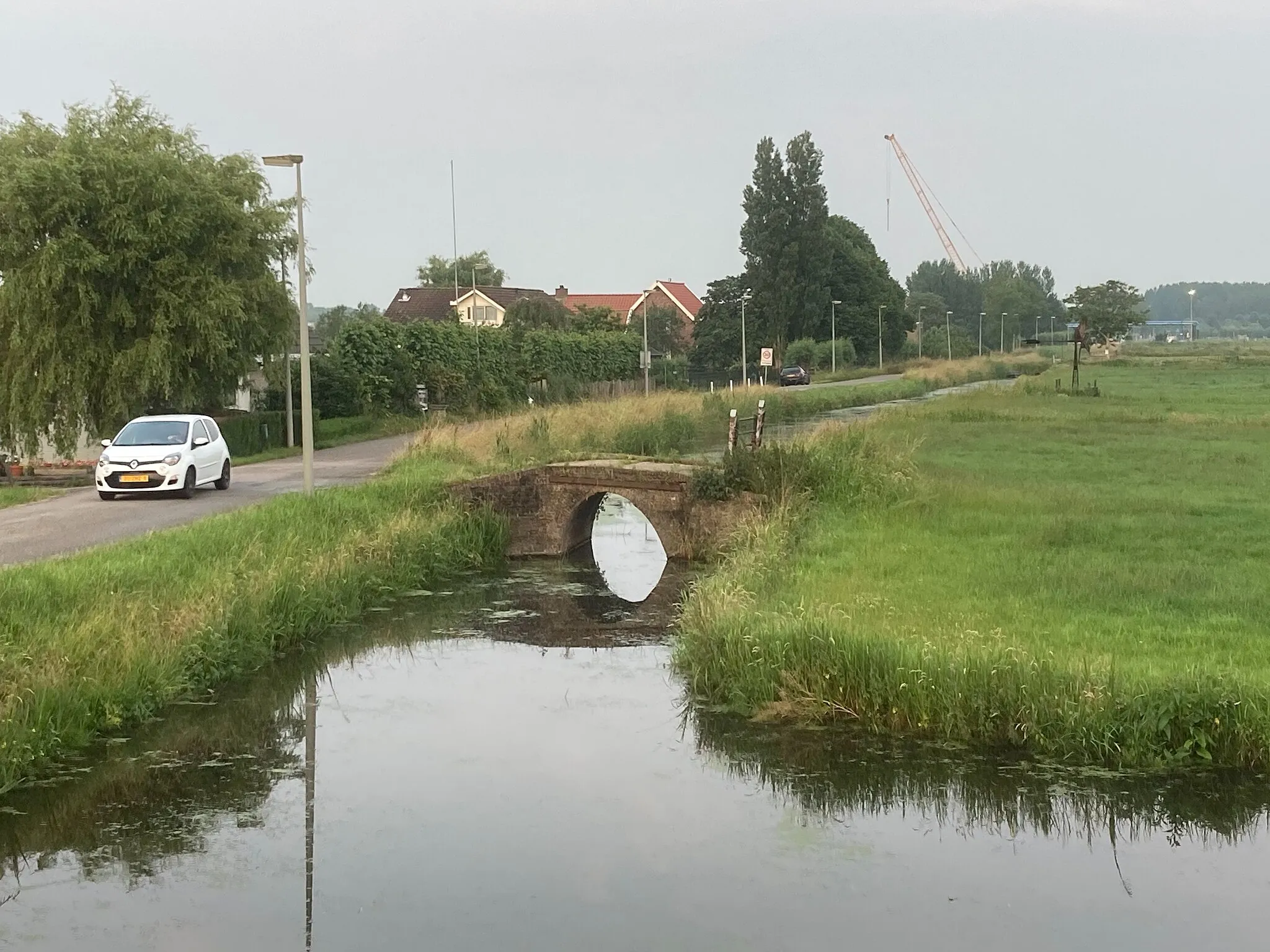 Photo showing: Alkeet buitenpolder poeldijkae wetering zuidbuurt blankenburg