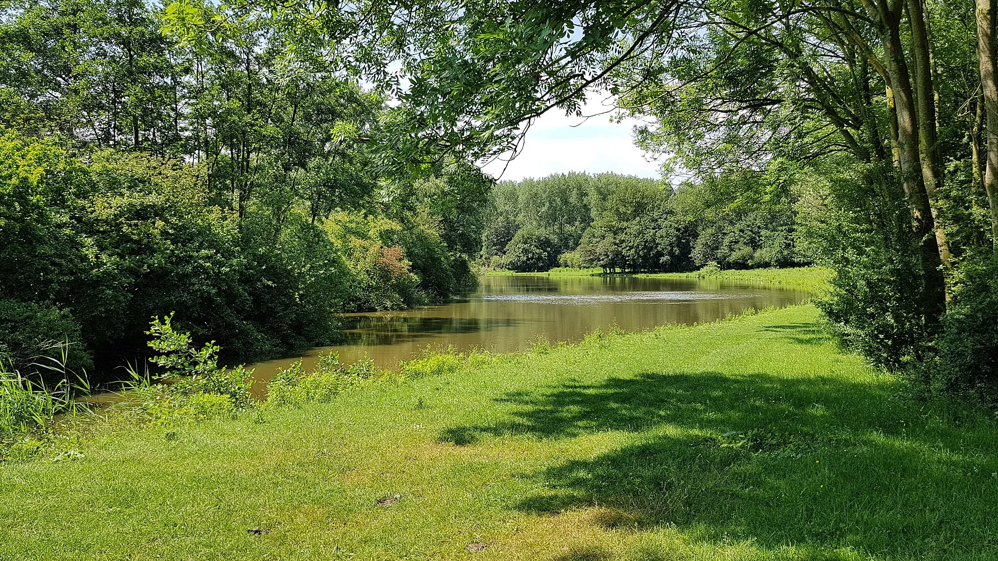 Photo showing: Lage Bergse Bos a recreational area of ​​216 hectare was created in 1970.  It is a wooded area interspersed with open areas of water and open grassland. A part of it is grazed by Scottish Highlander cattle.