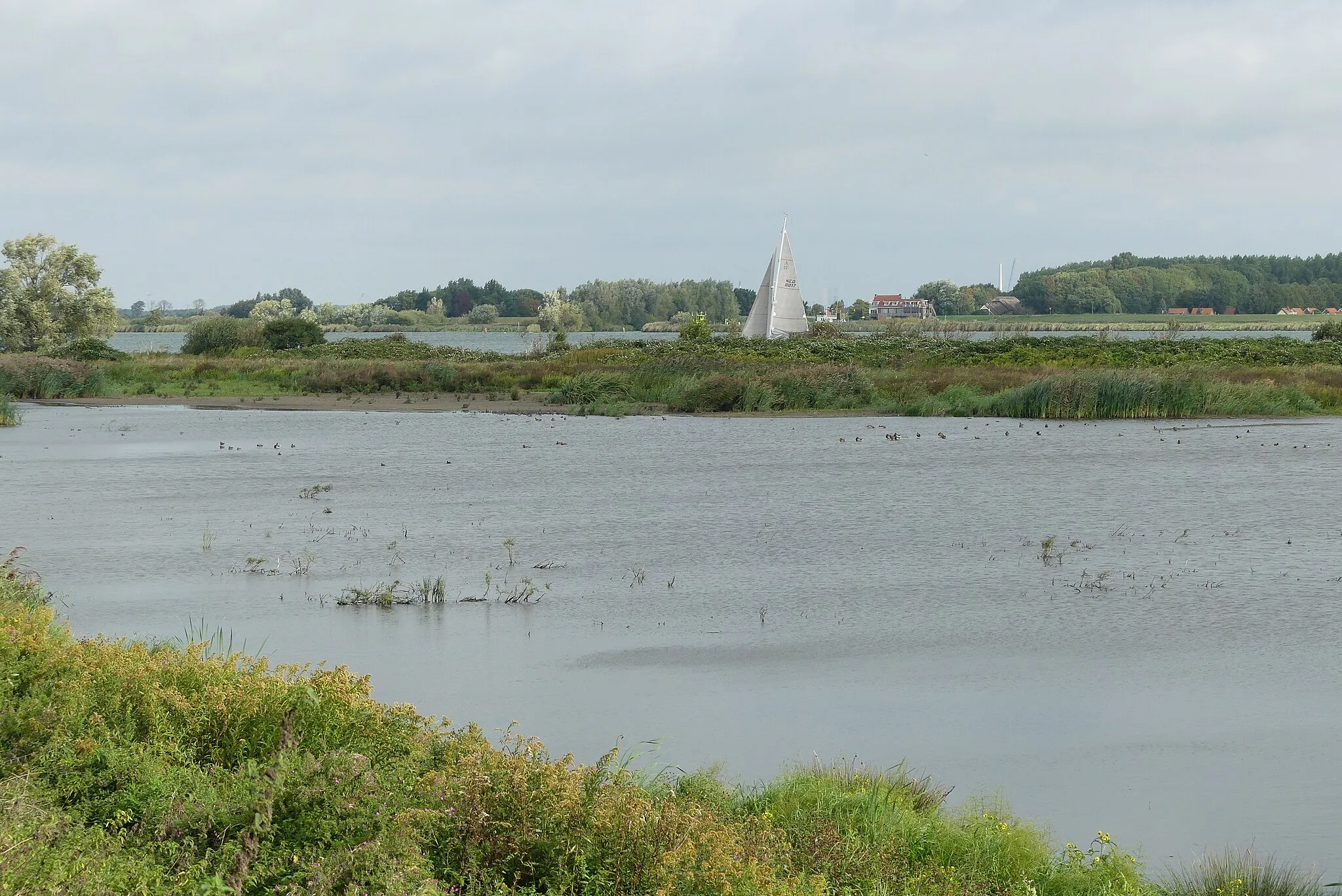 Photo showing: Zicht op het water gezien vanaf de dijk gelegen naast het bezoekerscentrum Tiengemeten. Op de achtergrond zicht op het Vuile Gat