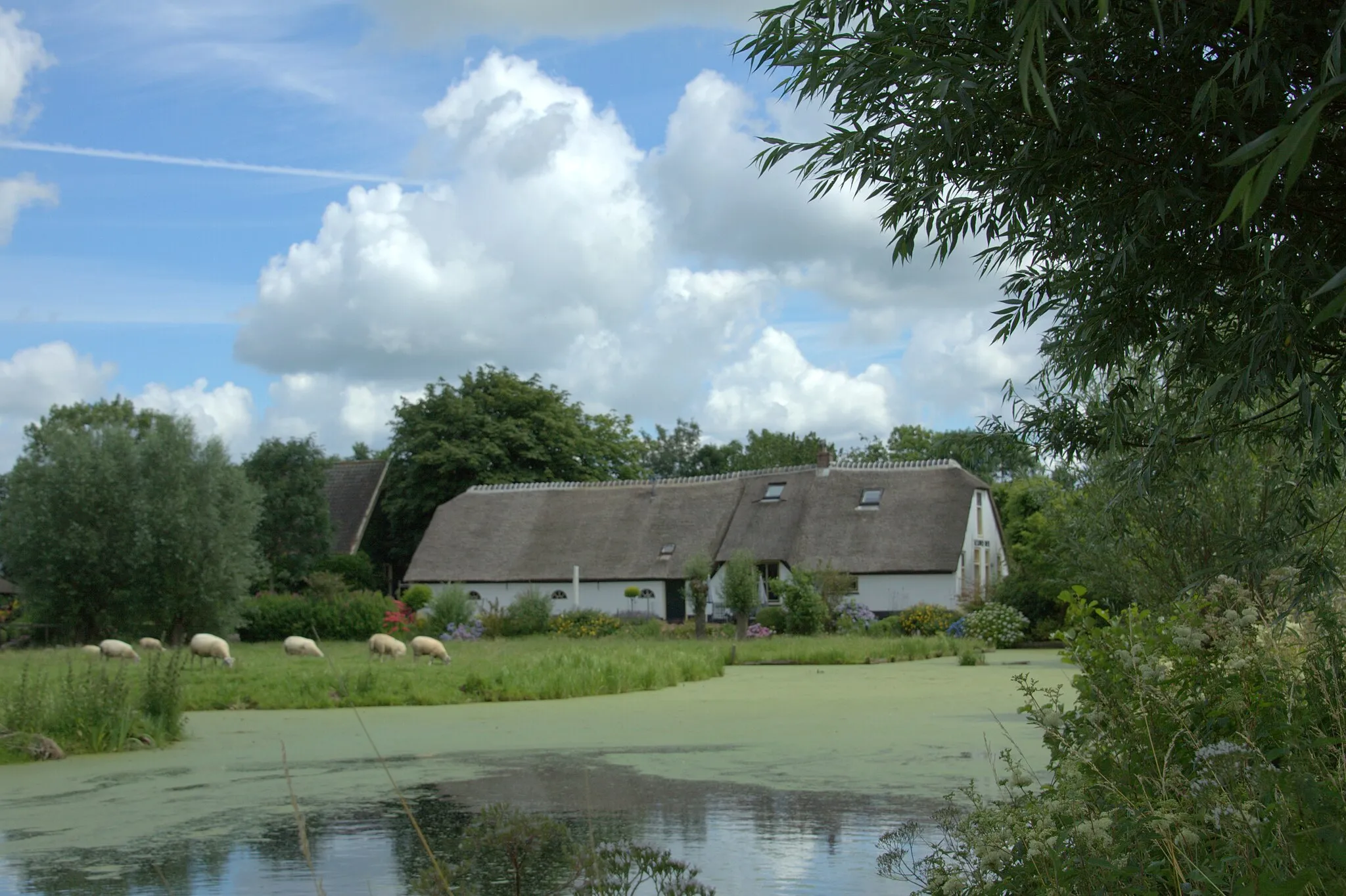 Photo showing: Ruigeweide, een langgerekt buurtschap in de gemeente Oudewater, het bestaat haast louter uit monumentale boerderijen.