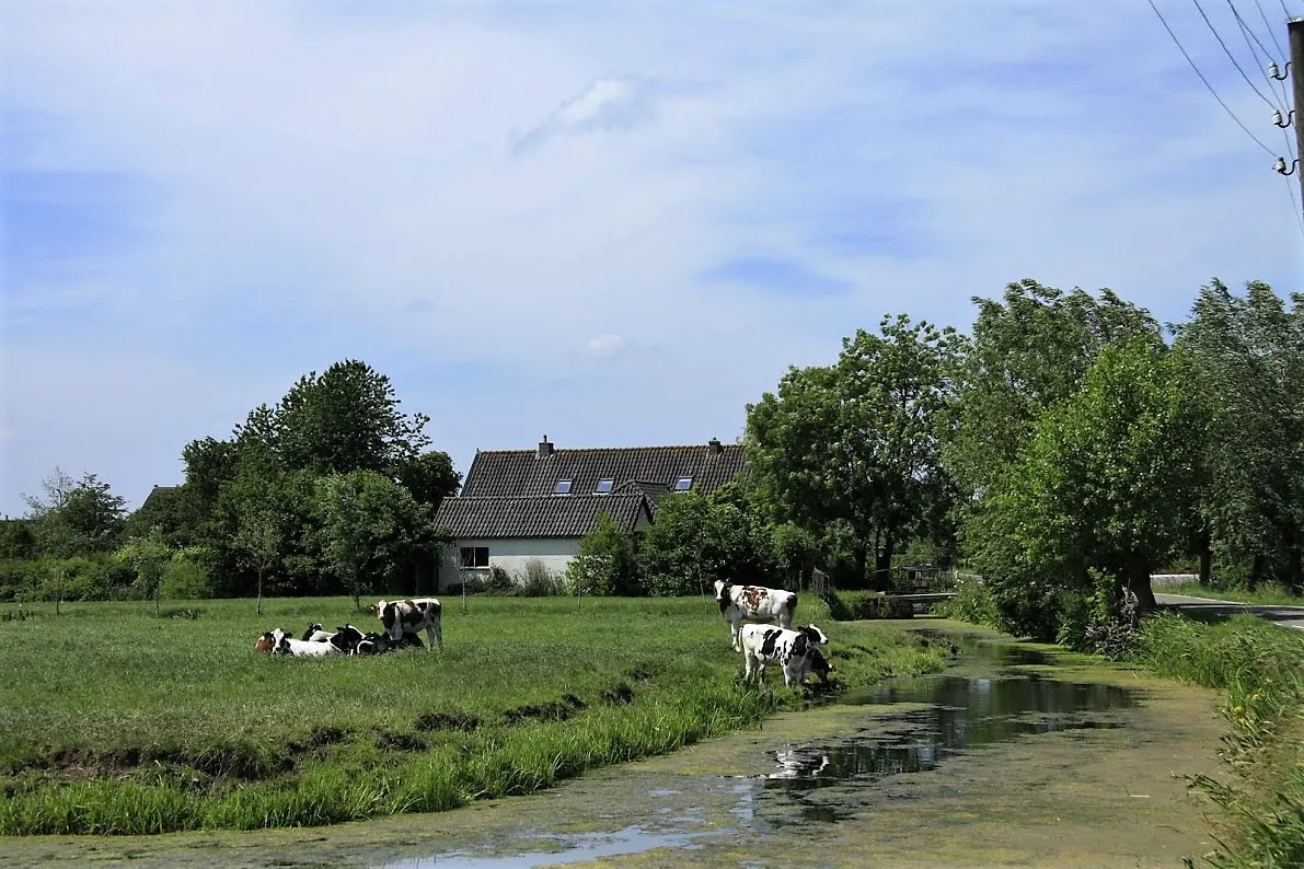 Photo showing: Buurtschap Bovenberg bij Schoonhoven aan de gelijknamige weg
met heel veel zeer fraaie boerderijen in de streek en de gemeente Krimpenerwaard.