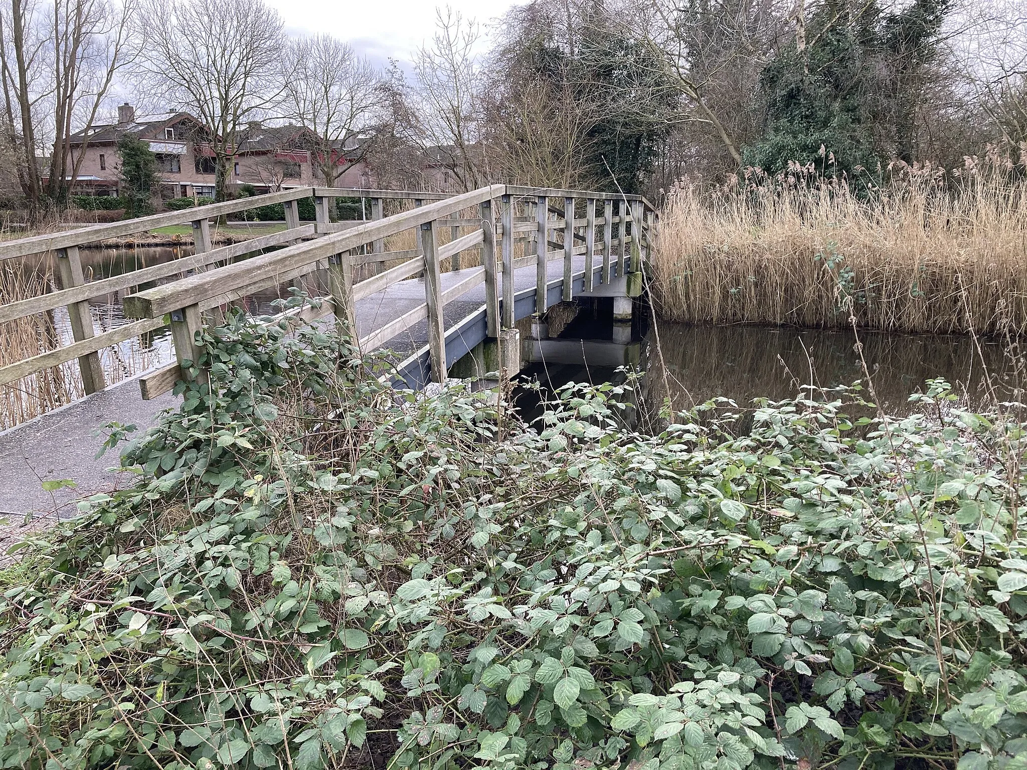 Photo showing: Brug in Leiden, Vlinderbrug (nummer 350).