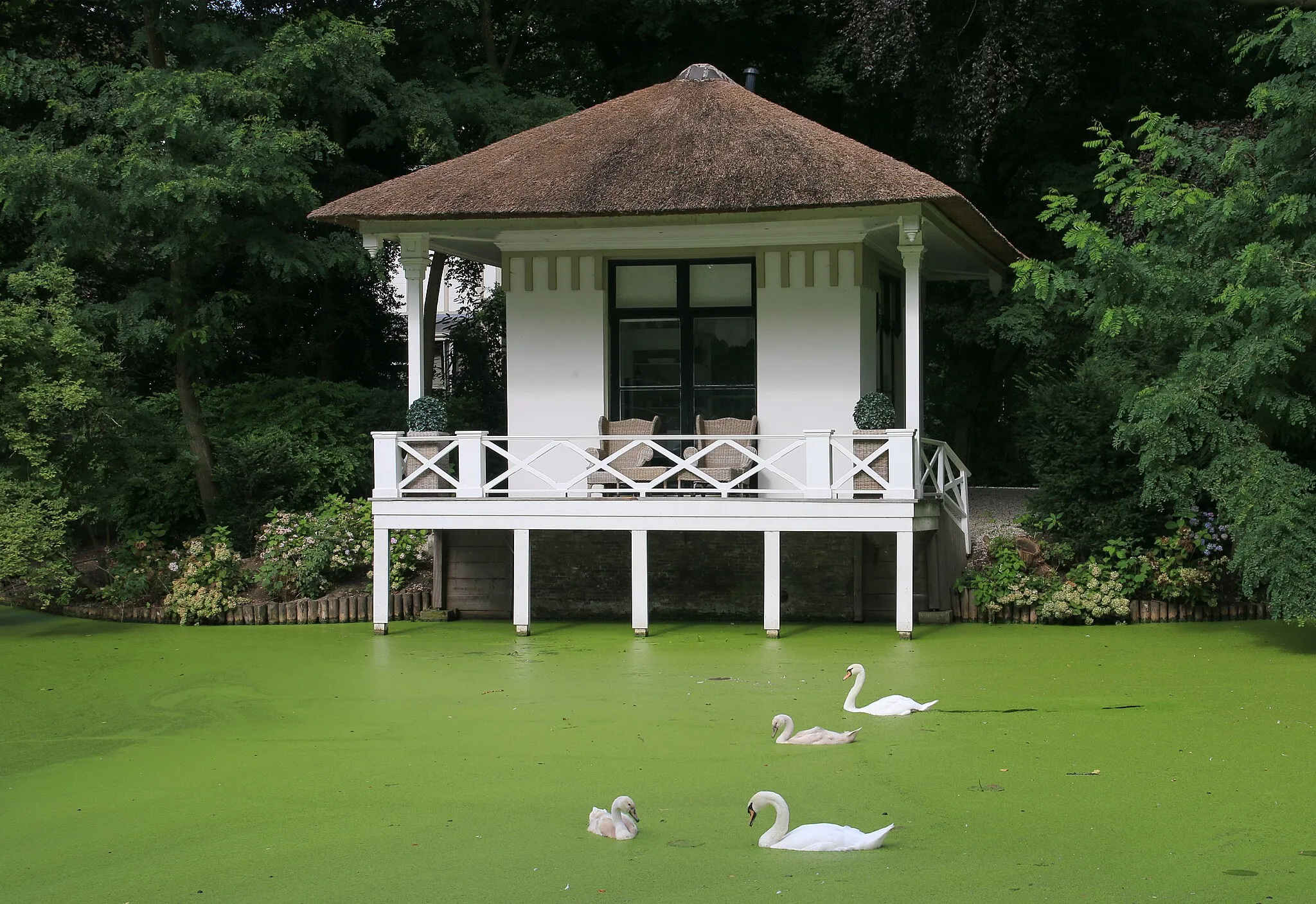 Photo showing: Zwanen voor buitenhuisje aan Oostlaan, Woerden