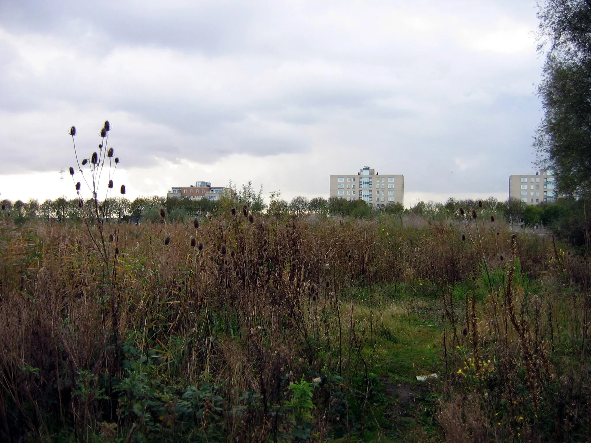 Photo showing: Diemen Noord as seen from Diemer Zeedijk.