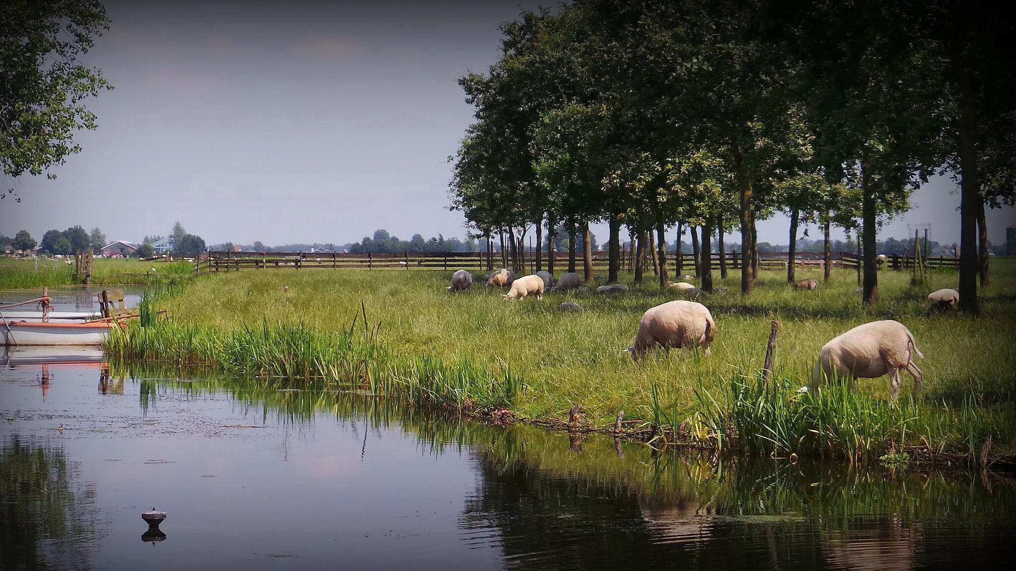 Photo showing: Hazekade Zegveld Woerden Robert Warnaar