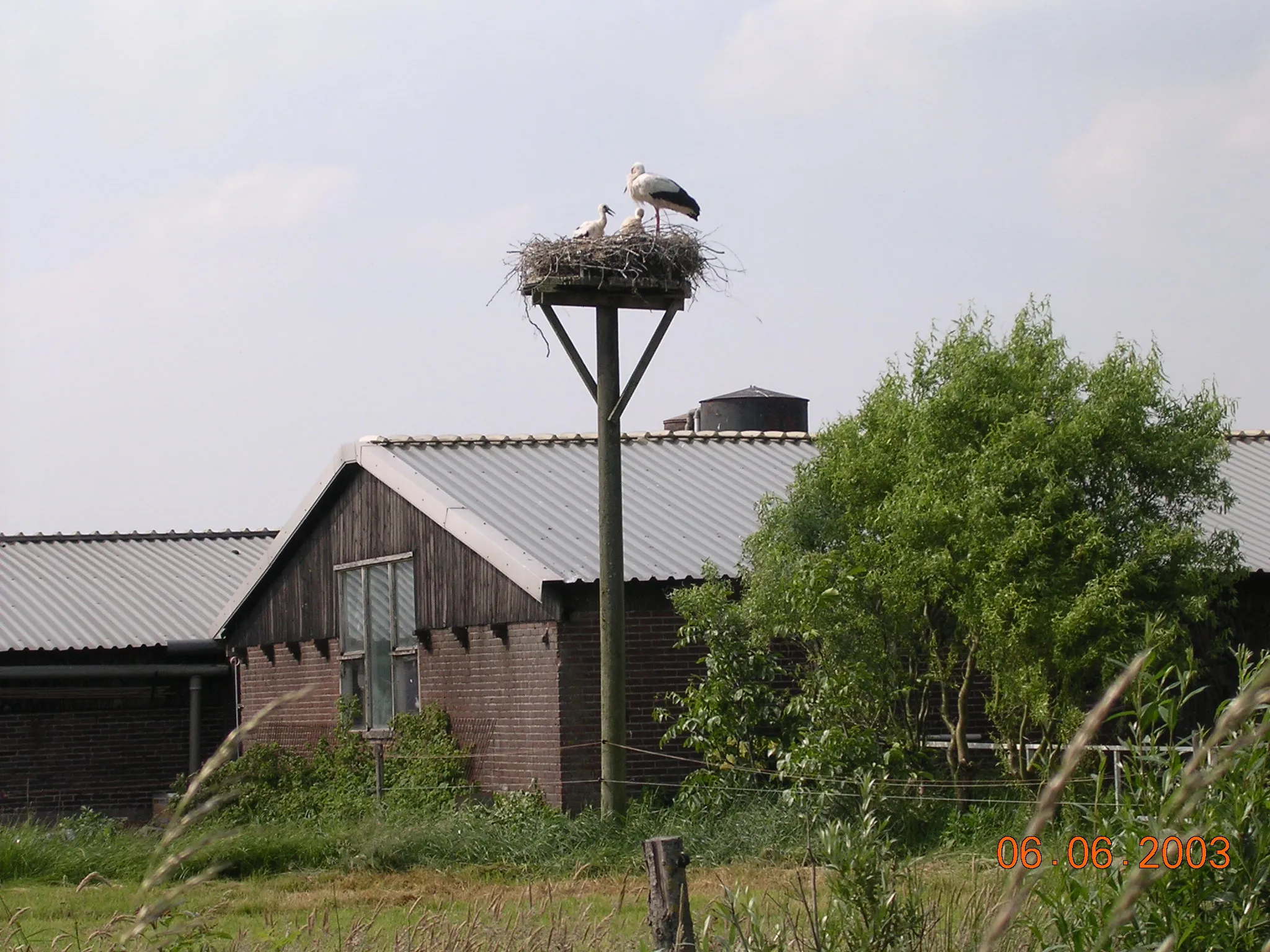 Photo showing: Ooievaarsdorp in Zegveld. Dorpsstraat 2,
Foto gemaakt in 2003 door Edo de Roo.

Foto is vrij van rechten.