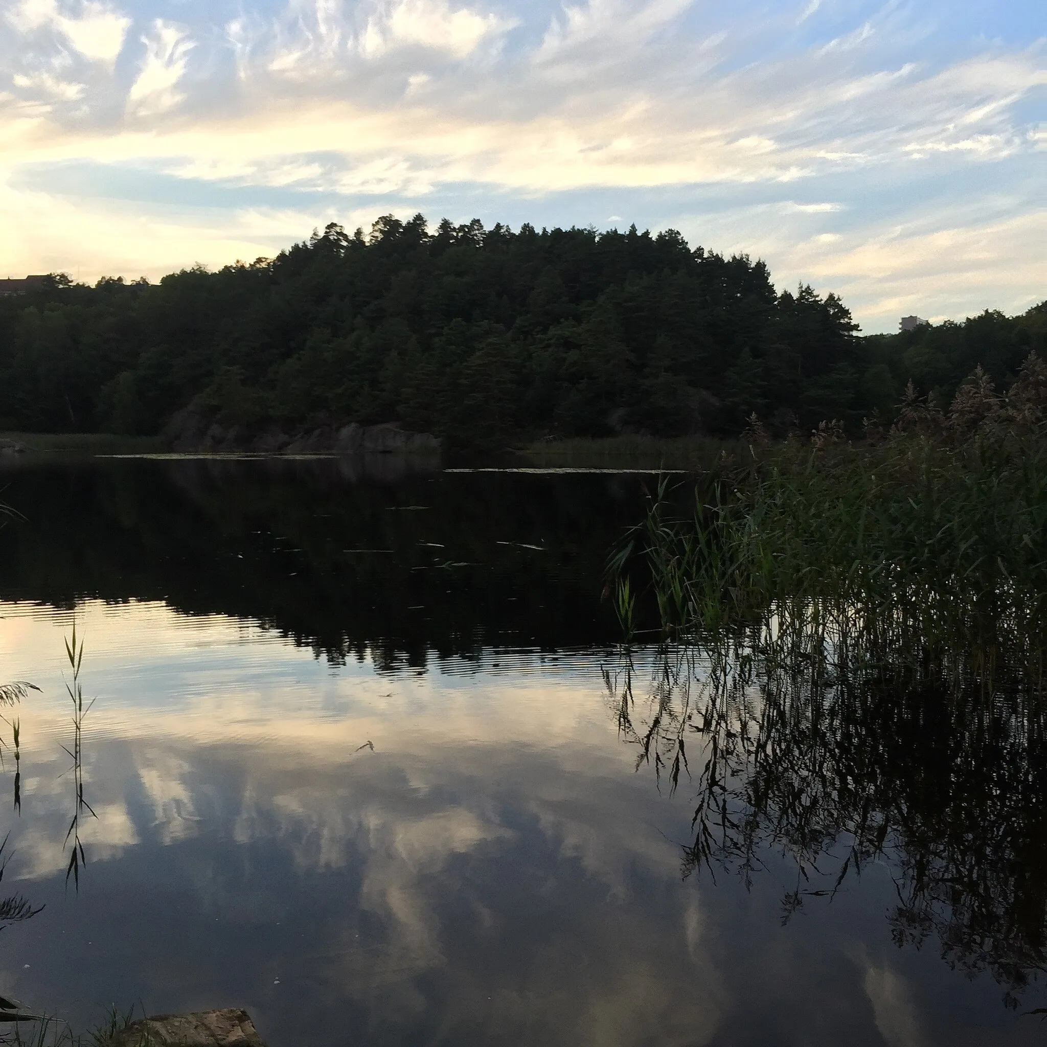 Photo showing: Eigevann, Kristiansand.