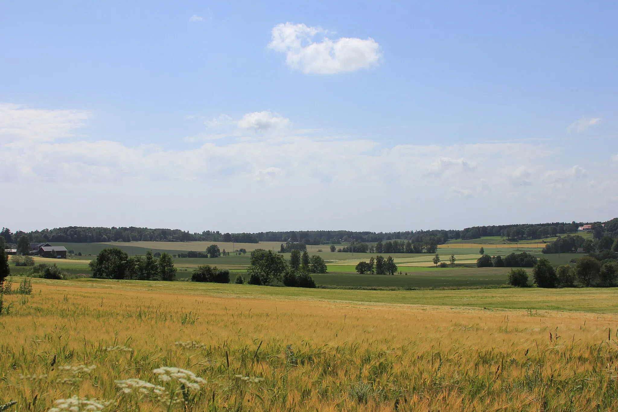 Photo showing: Vestfold Countryside, Horten, Vestfold, Norway