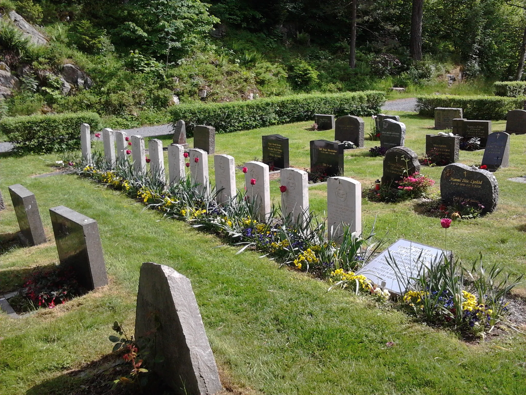 Photo showing: WWII Royal Air Force air-personnel graves at Arendal Cemetery in Norway