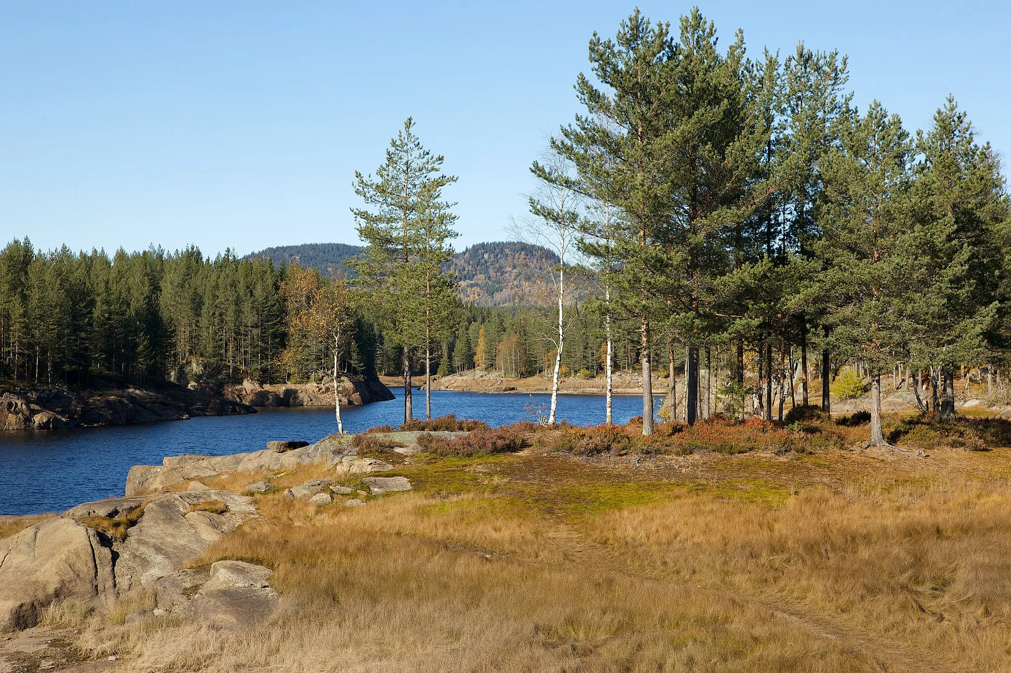 Photo showing: Lake Fjellvannet, Luksefjell. Landscape in Skien, Norway.