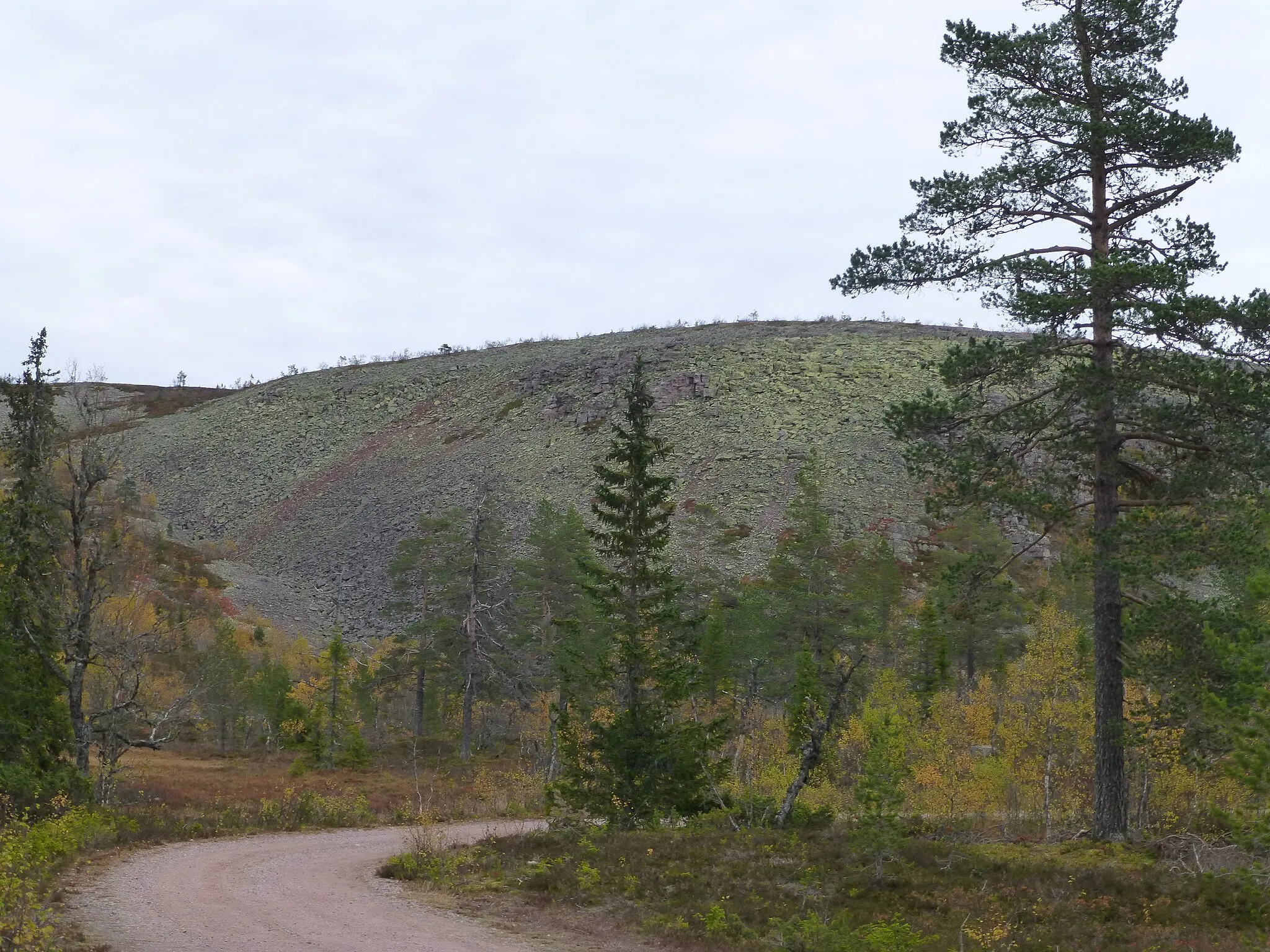 Photo showing: On the way to the southern plateau of no:Fulufjellet nasjonalpark, Hedmark, Norway