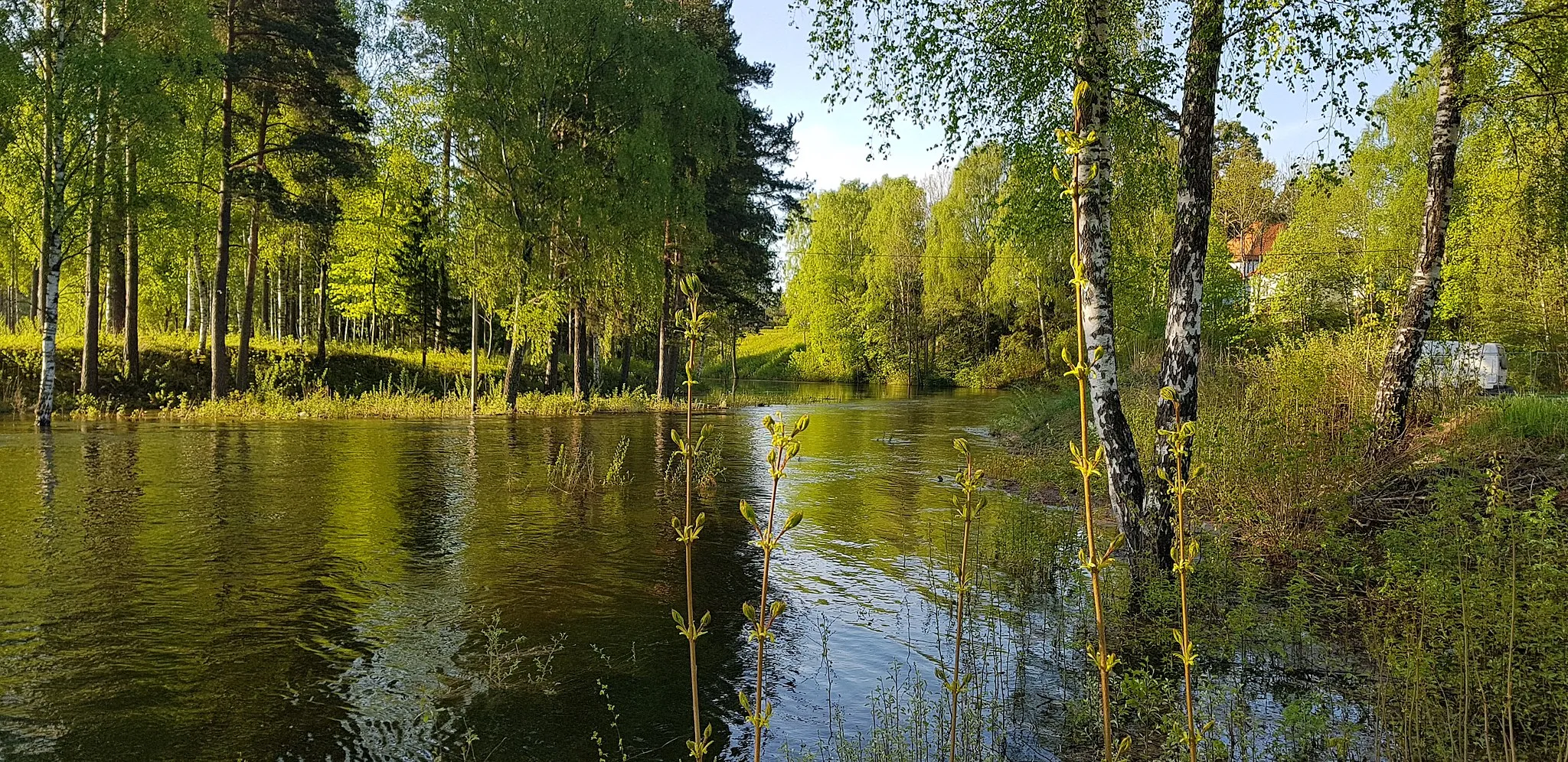 Photo showing: Petersøya og Storelva under vårflommen i 2018