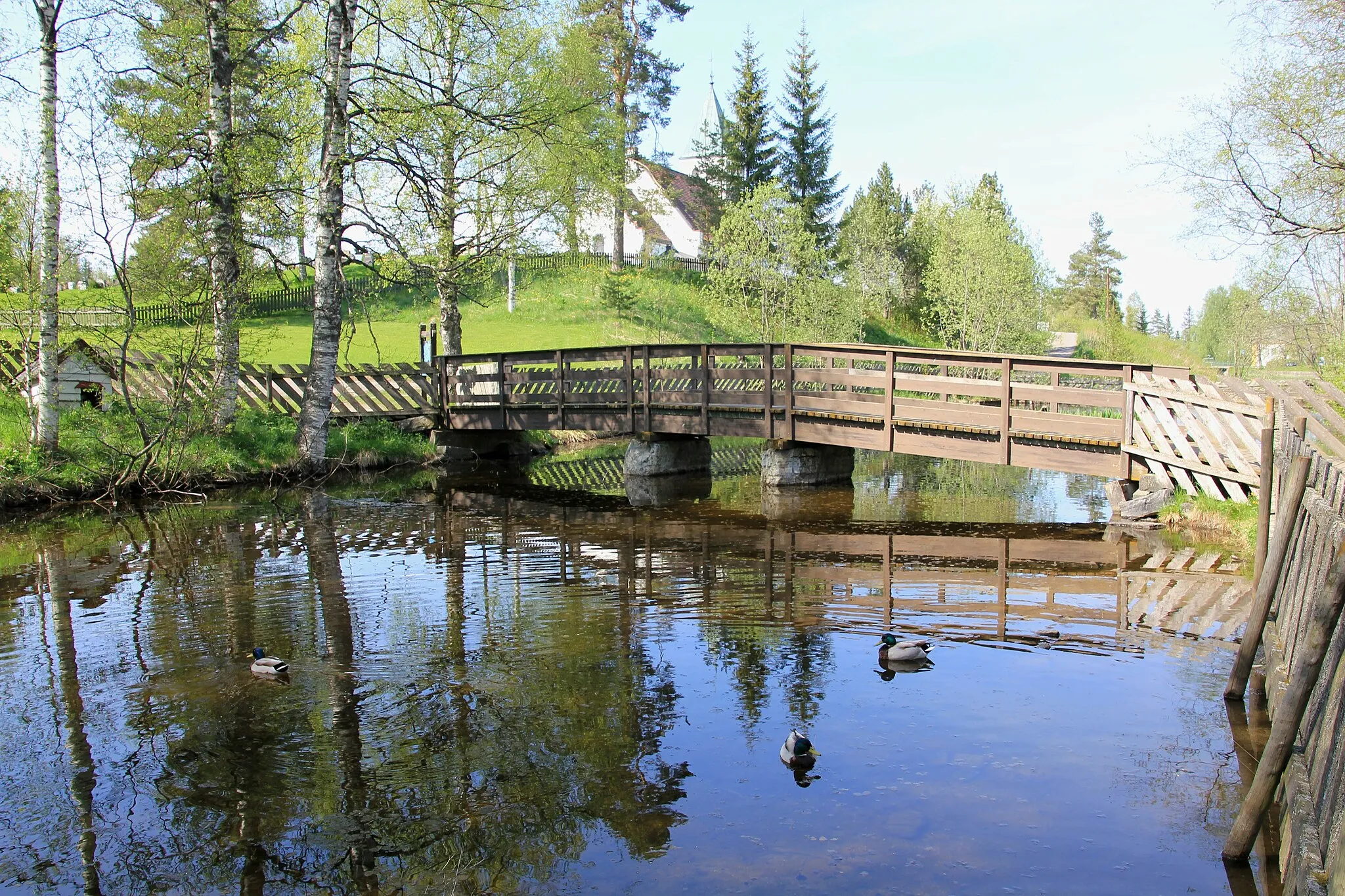 Photo showing: Motiv fra fugleparken på Raufoss.