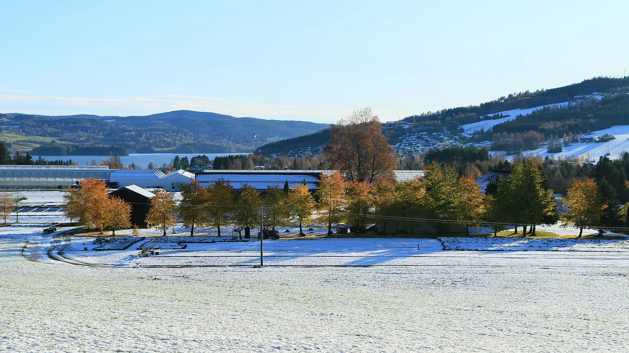 Photo showing: Biri planteskole