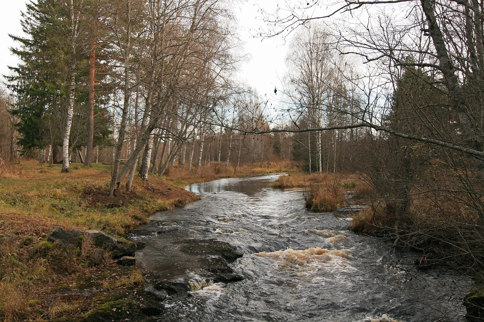 Photo showing: Svartelva ved Fløta, Ådalsbruk.