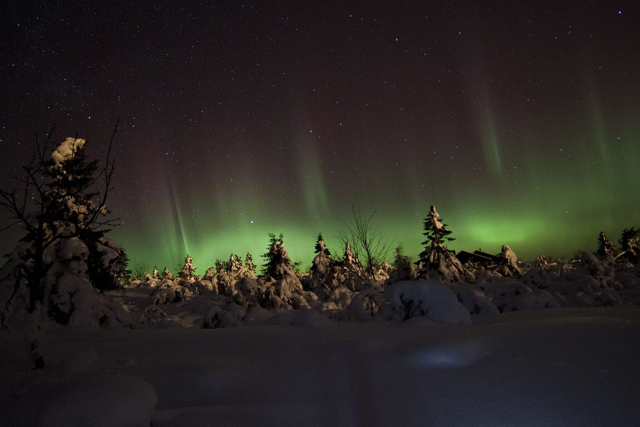 Photo showing: aurora borealis photographed in Trysil,Norway.