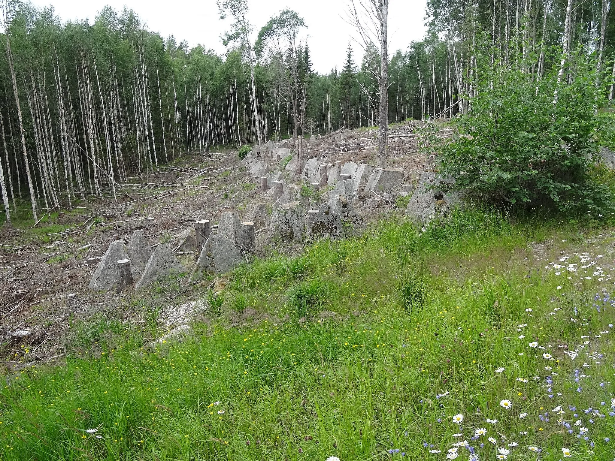 Photo showing: Dragon's teeth, tank obstacle near the fortifications.