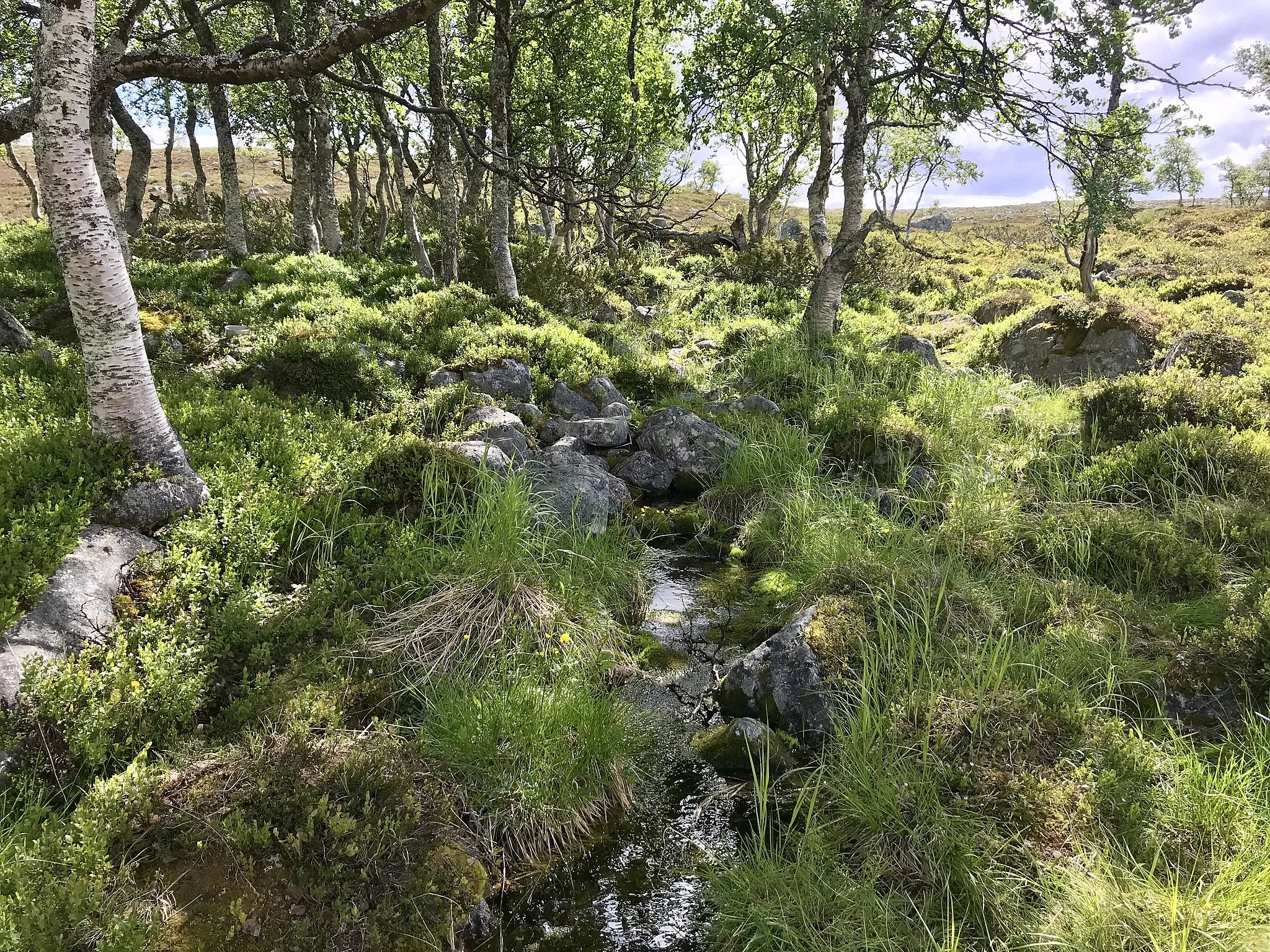 Photo showing: The source of the rivers Klarälven and Göta älv on the northeast side of mount Brändstöten in the Swedish landscape of Härjedalen.