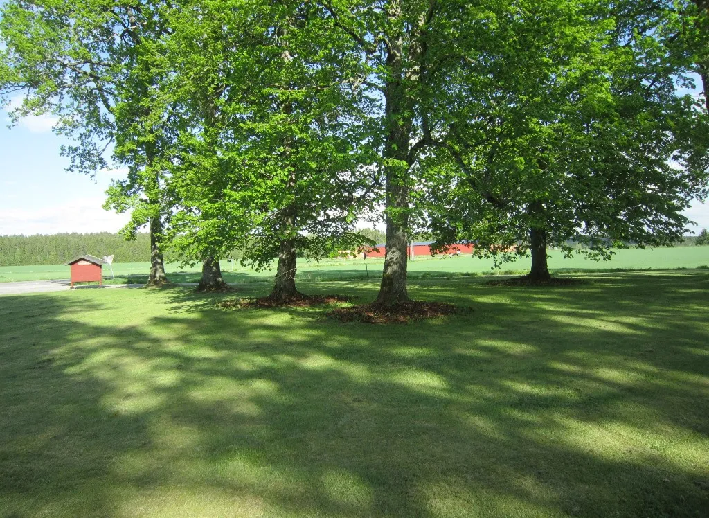 Photo showing: Hemnes gamle kirkegård, tidligere kirkested for Søndre Høland kirke