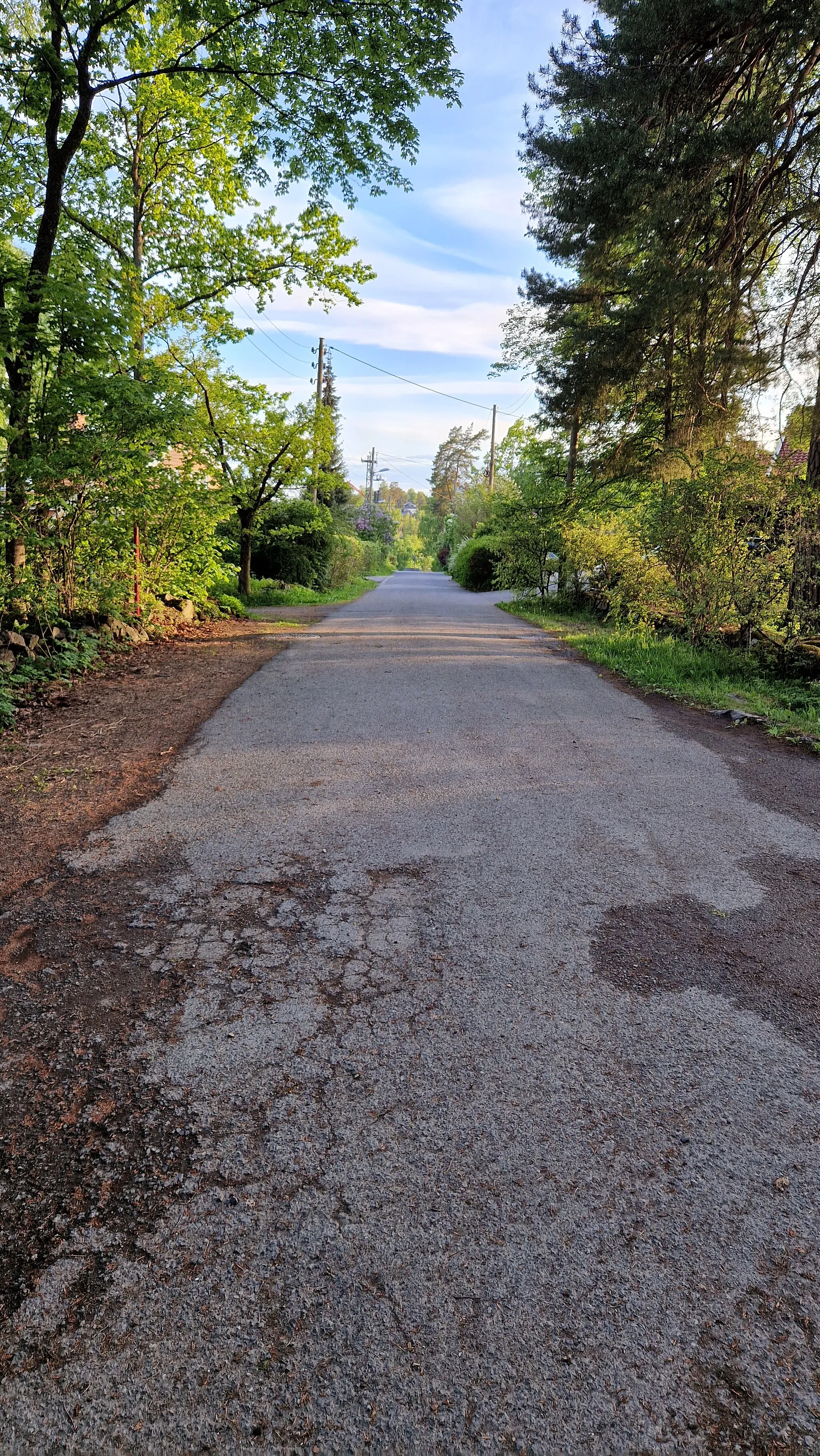 Photo showing: Bjerkåsen, vei i Bærum