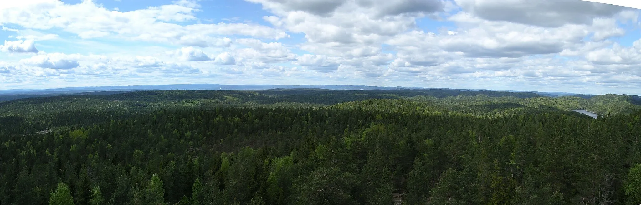 Photo showing: Picture of the forested Østmarka near Oslo, Norway. The picture is taken from the top Kjerringhøgda in the municipality of Enebakk.
