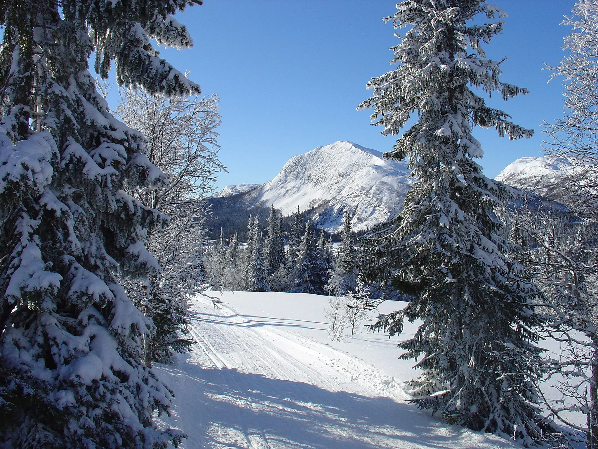 Photo showing: Fjelltoppen Haglebunatten 1278 moh sett fra øst. Norwegian mountaintop (Haglebunatten 1278m) 200 km north west from Oslo near Eggedal.