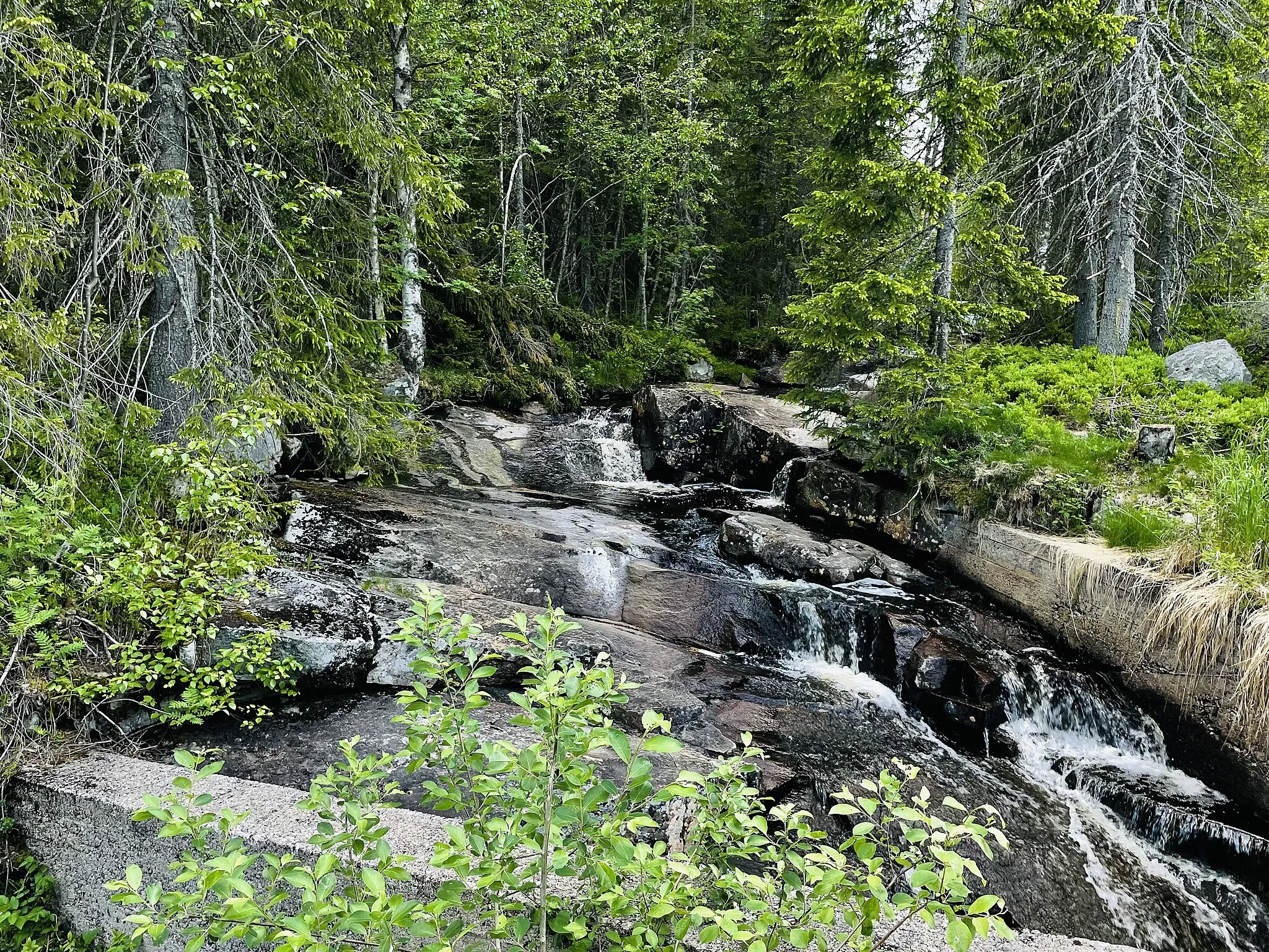 Photo showing: Vambubekken ved Storflåtan, Ringerike