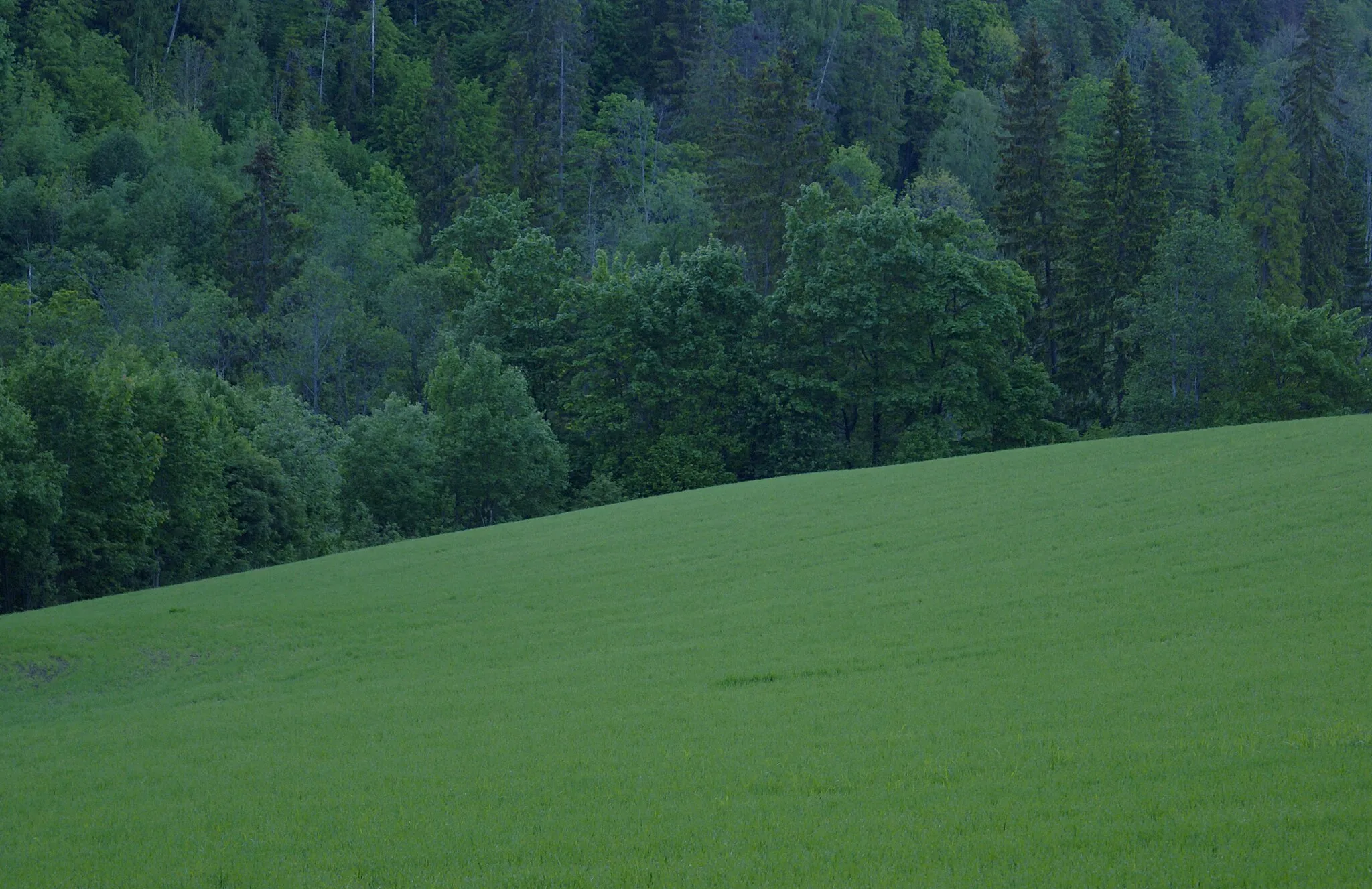 Photo showing: Green landscape