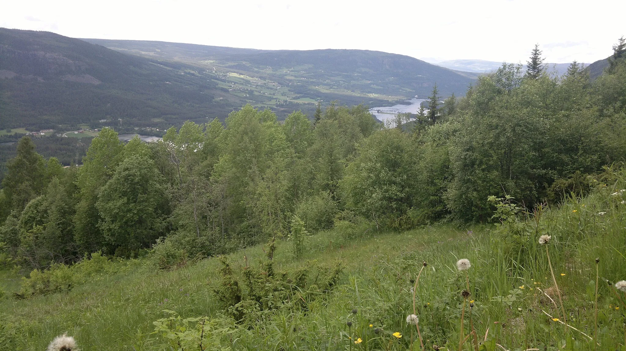 Photo showing: Dokkafjorden from Aurdal