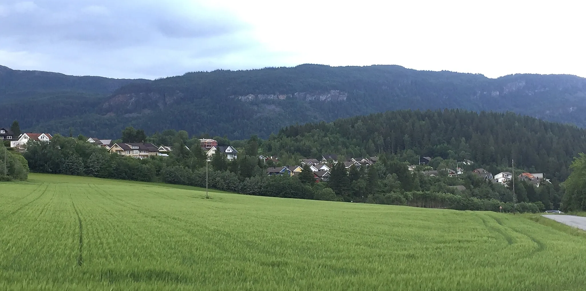 Photo showing: Nordlandsfeltet i Stjørdal, sett østover fra Vifstadlia.