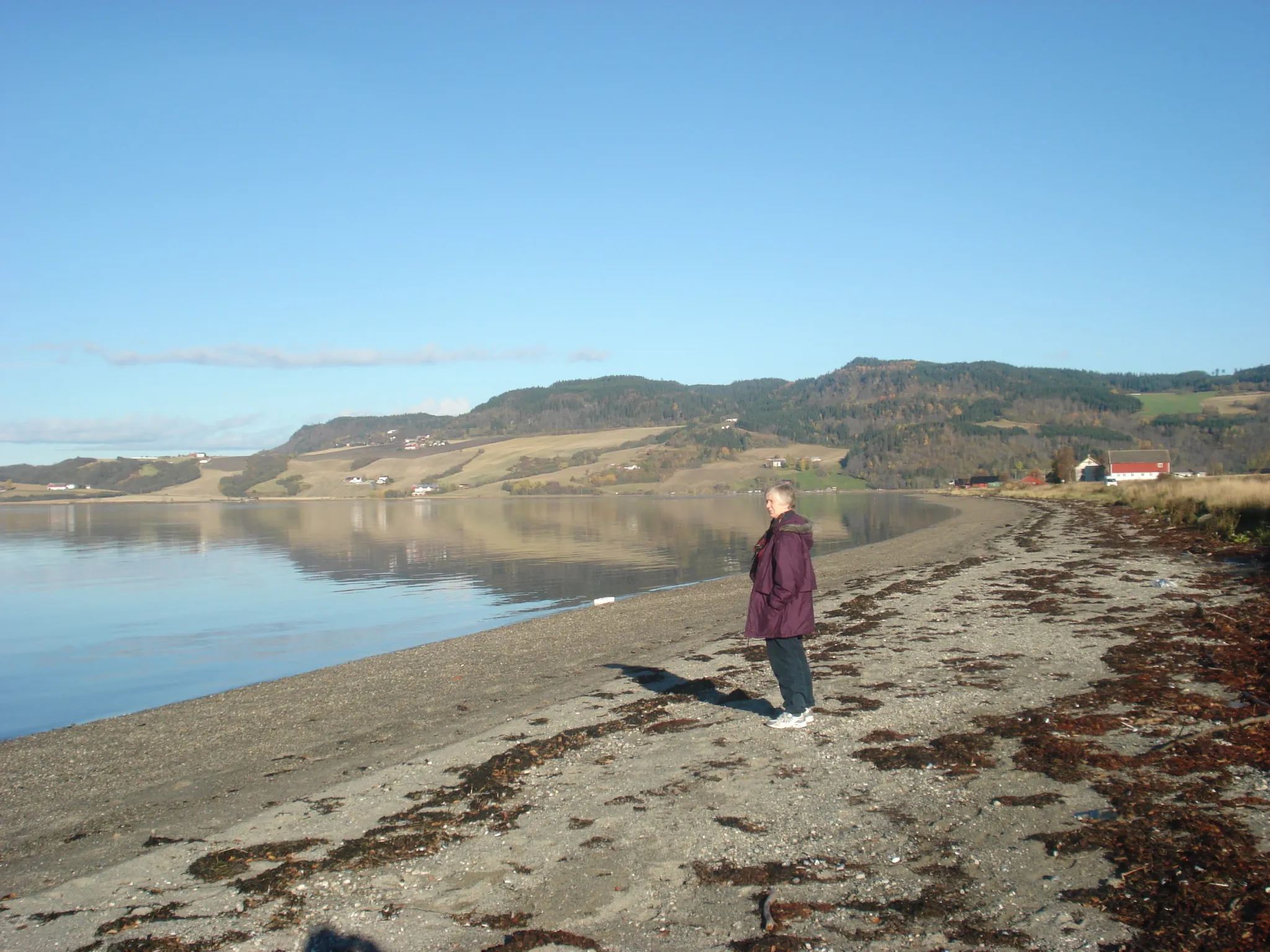 Photo showing: Øysand ved utløpet av Gaula i Melhus