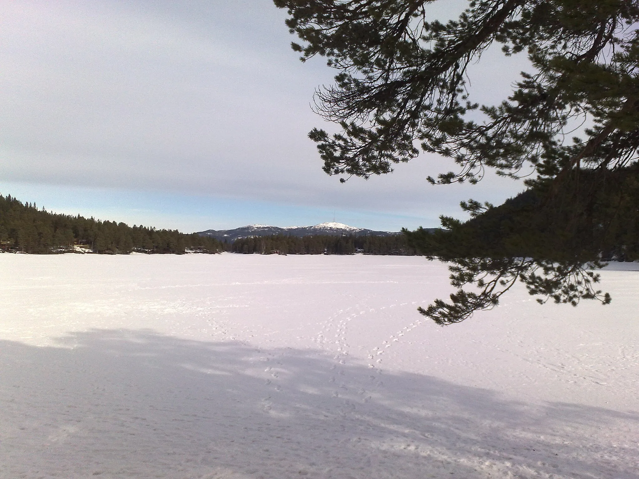 Photo showing: Bilde fra Benna i Melhus kommune. Bildet er tatt mot nordøst med Vassfjellet i bakgrunnen.