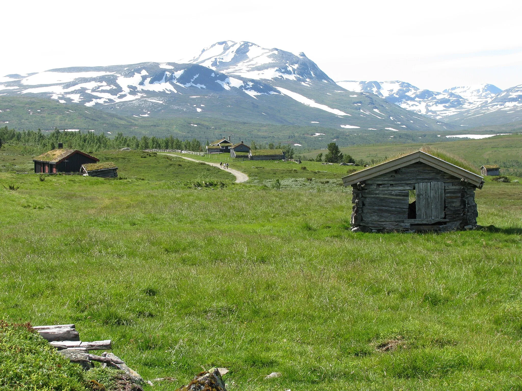 Photo showing: Jøldalen valley in the Trollheimen mountain range. Picture taken along the path which goes from Jølhaugen (car park) to Jøldalshytta mountain lodge (not in picture). This valley was, and partly still is, used as pasture. Rennebu municipality, Sør-Trøndelag county, Norway.

Norsk: Jøldalen på vei fra Jølhaugen inn til Jøldalshytta (ikke i bildet). Tidligere seterdal. Rennebu kommune, Sør-Trøndelag. Juli 2008.